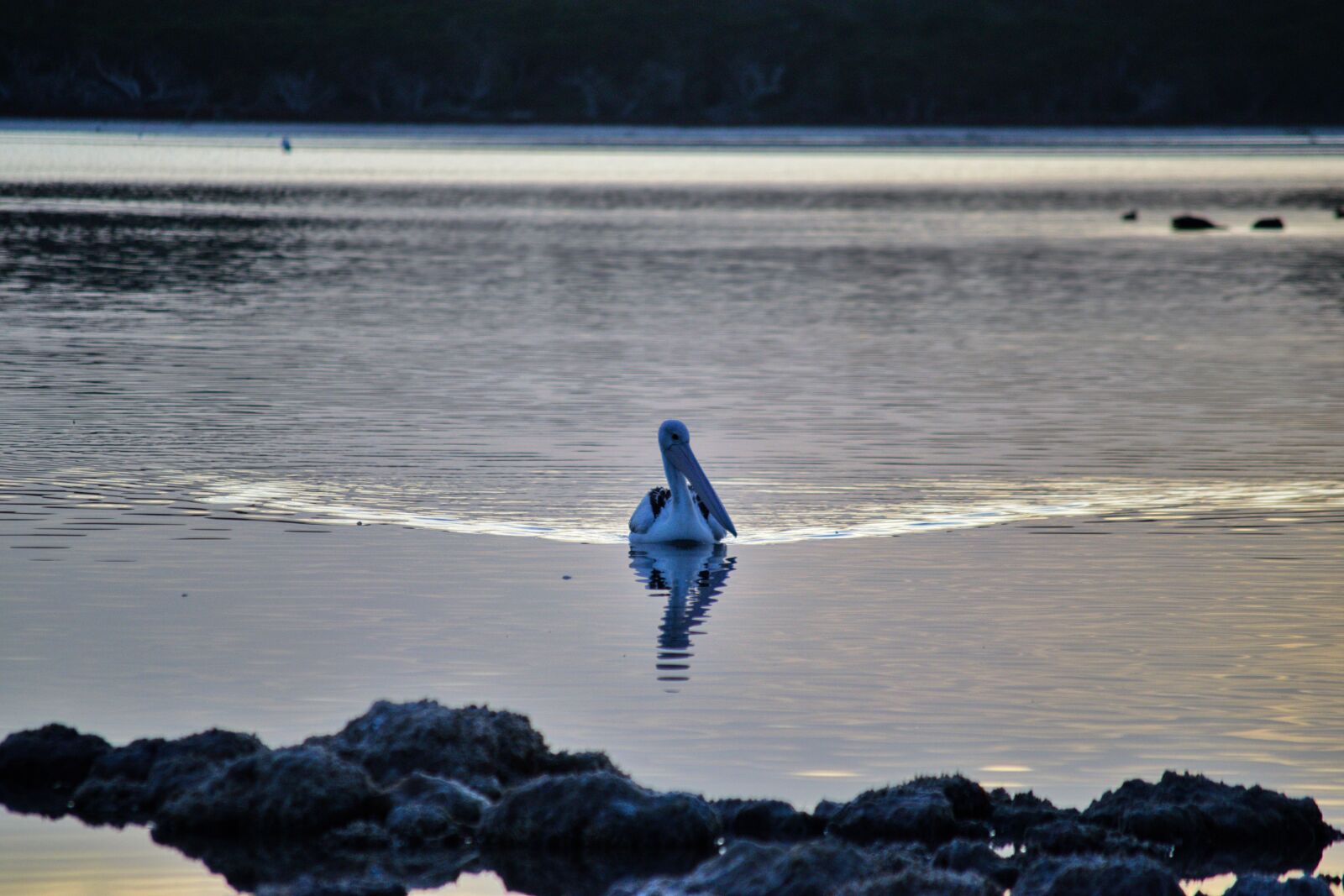 Nikon D3300 sample photo. Morning, dawn, daybreak photography