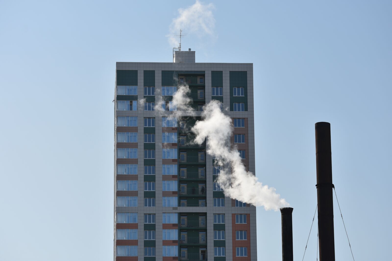 Nikon D3400 sample photo. Ecology, environment, pollution photography