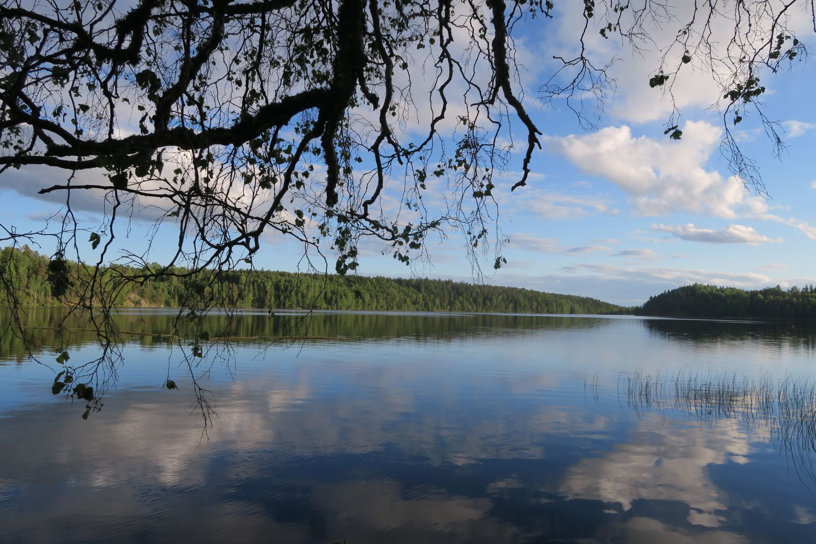 Canon PowerShot G7 X sample photo. Sweden, lake, landscape photography