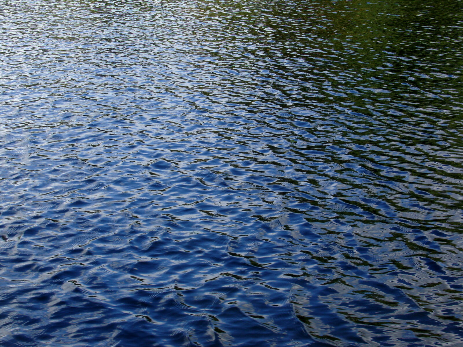 Sony DSC-V3 sample photo. Blue, boating, lake, green photography