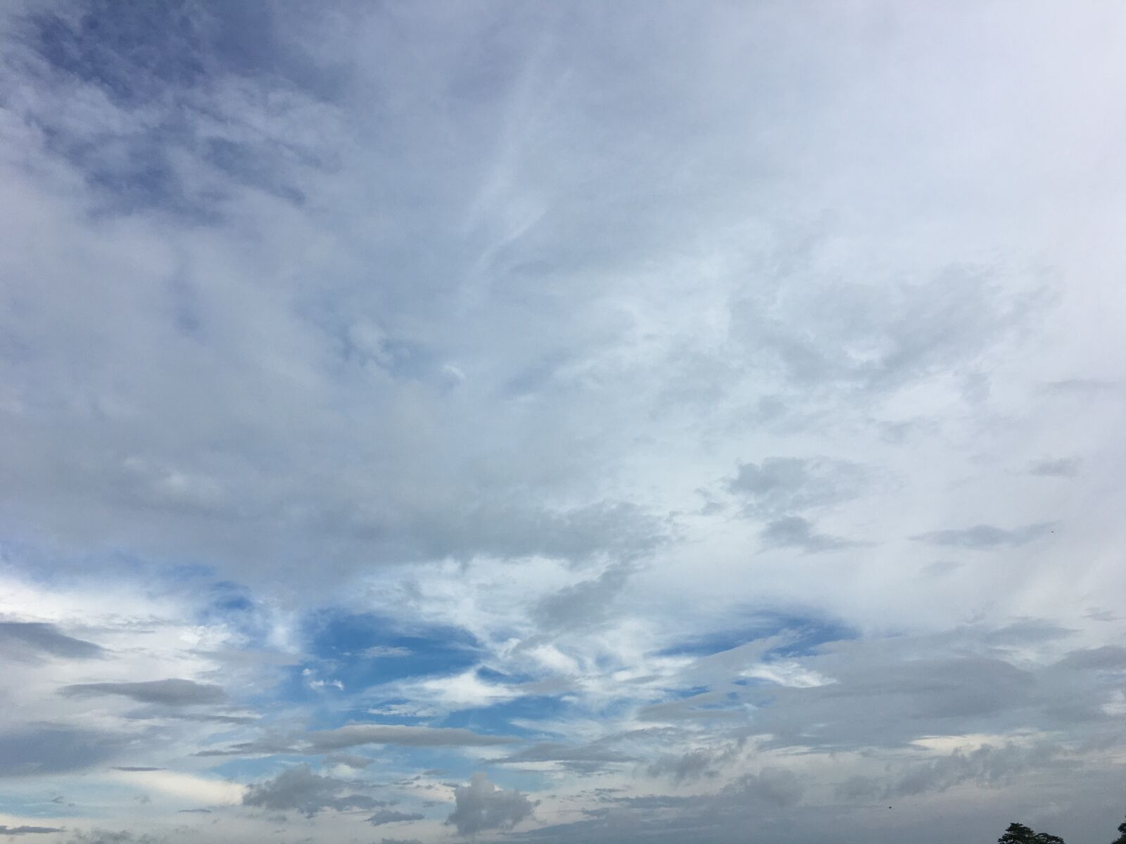 Apple iPhone 6s sample photo