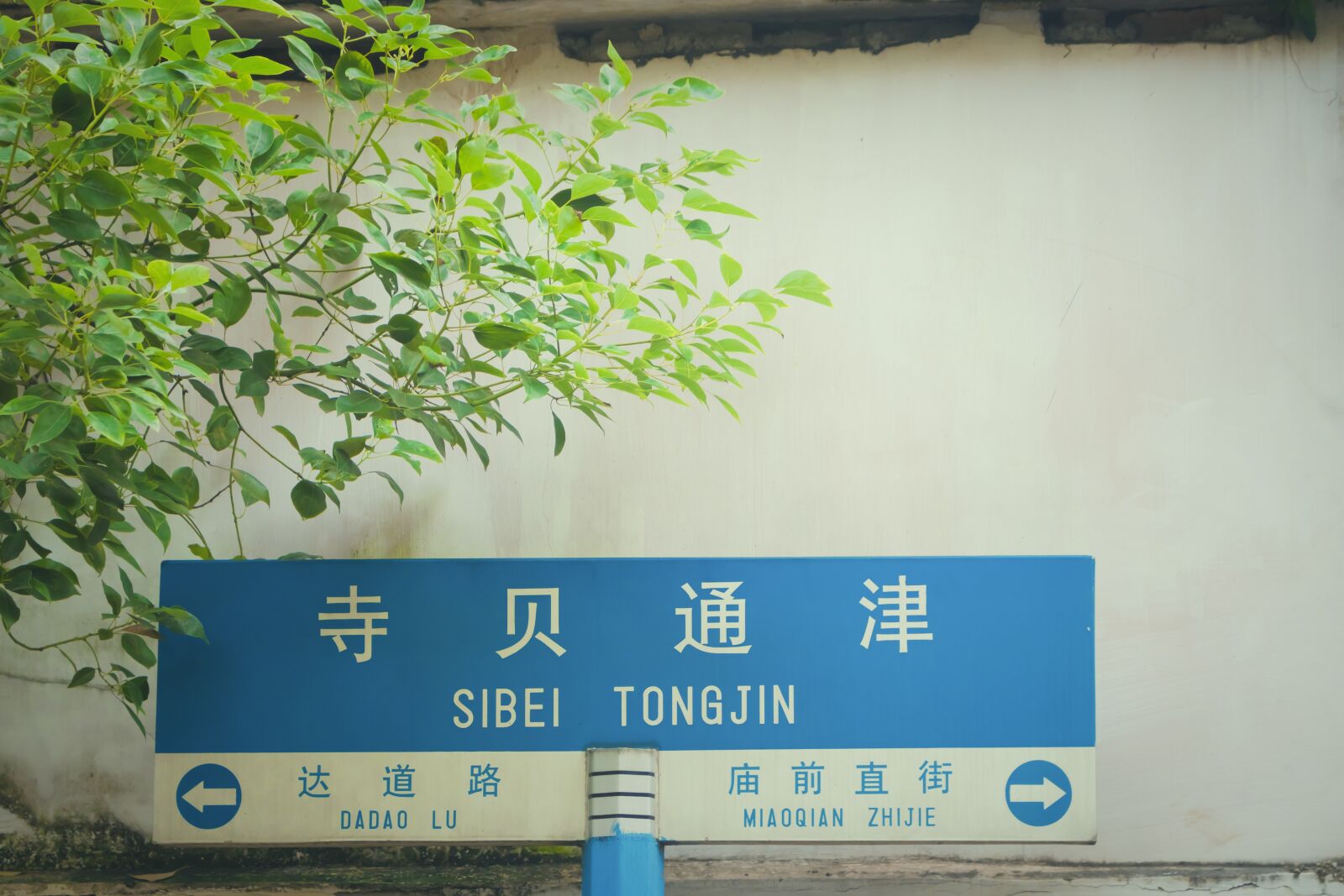 Canon EOS 750D (EOS Rebel T6i / EOS Kiss X8i) sample photo. Road, fresh, alley photography