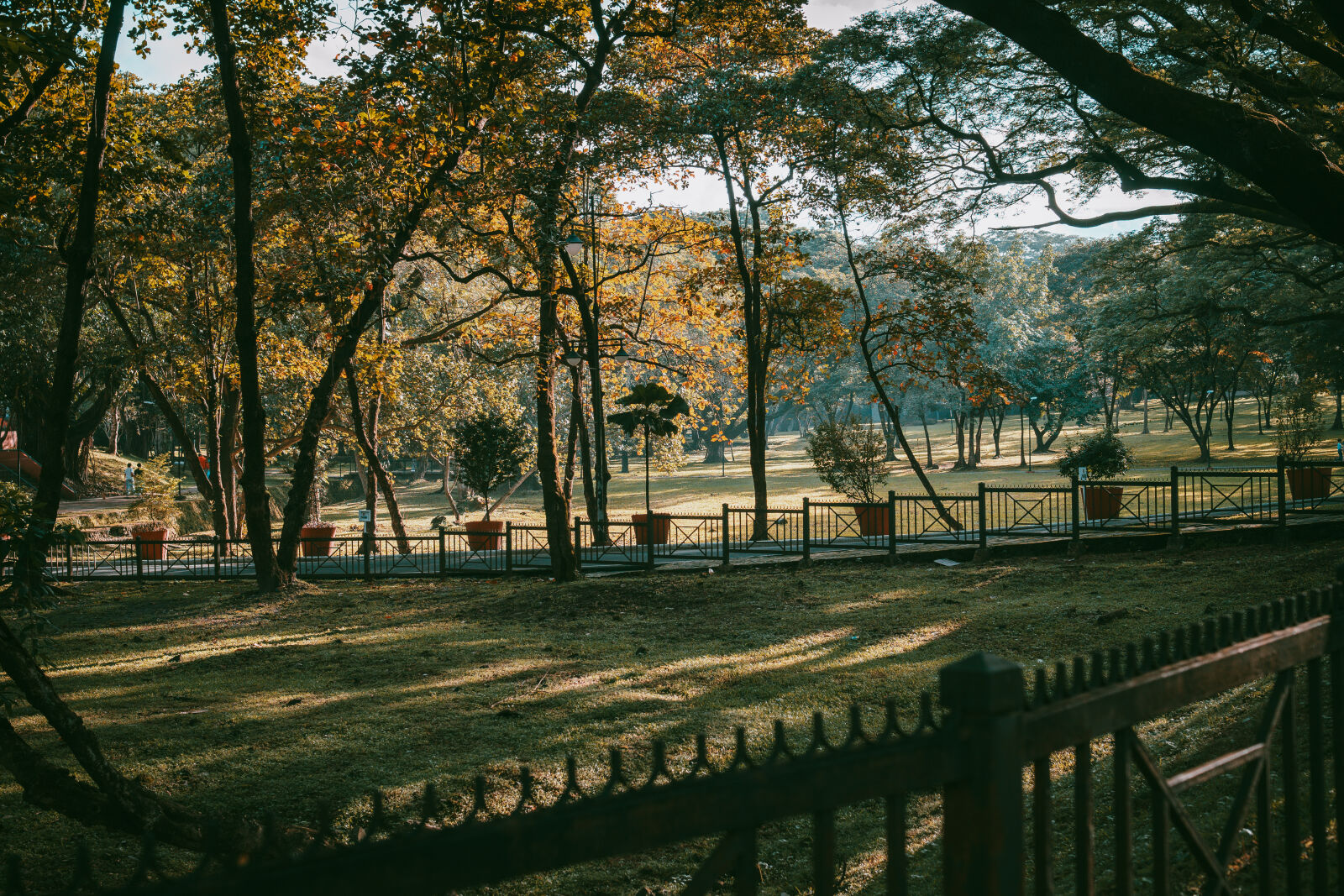 Sony ZV-E10 sample photo. Park photography