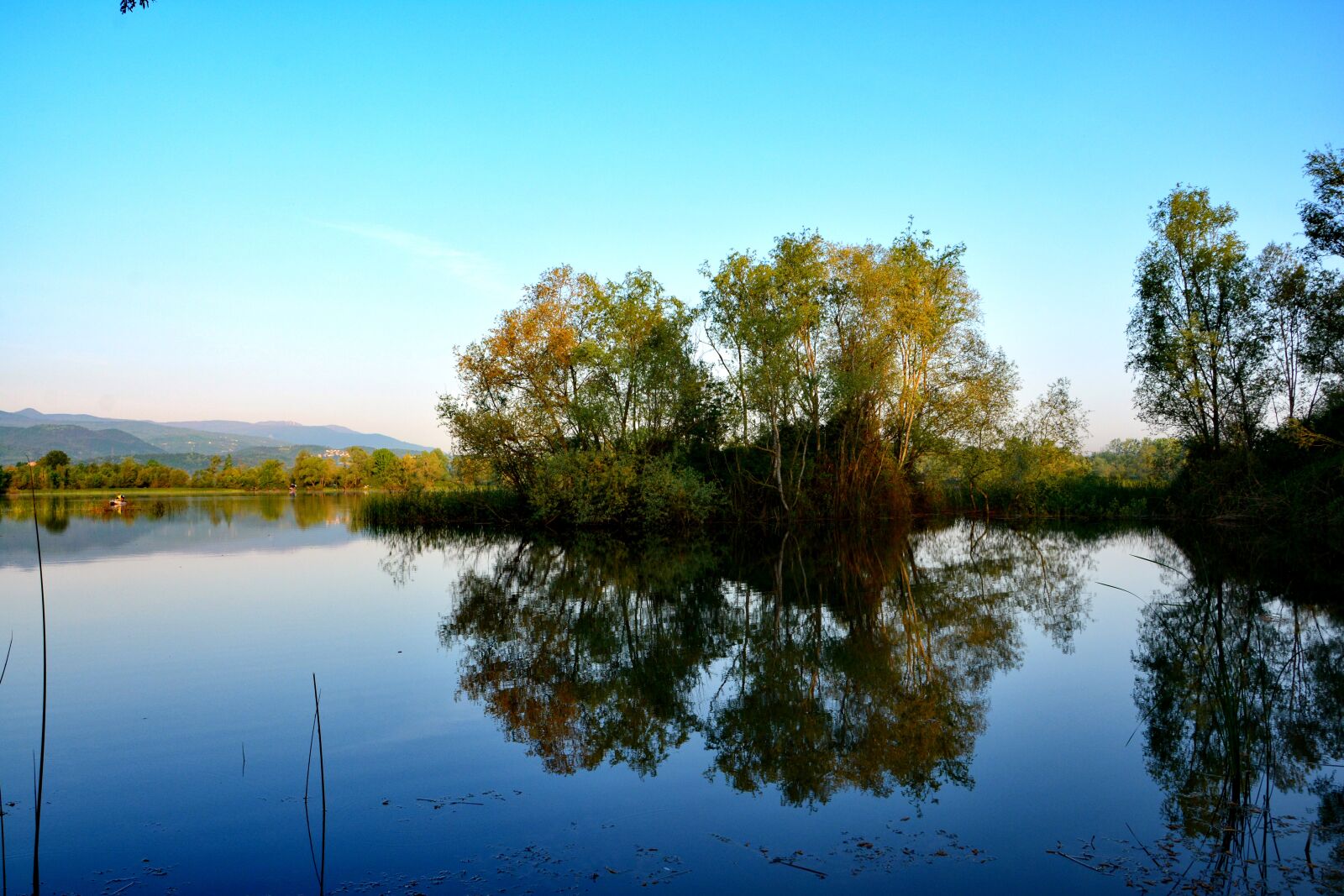 Nikon D7100 sample photo. Nature, sakarya, ponds photography