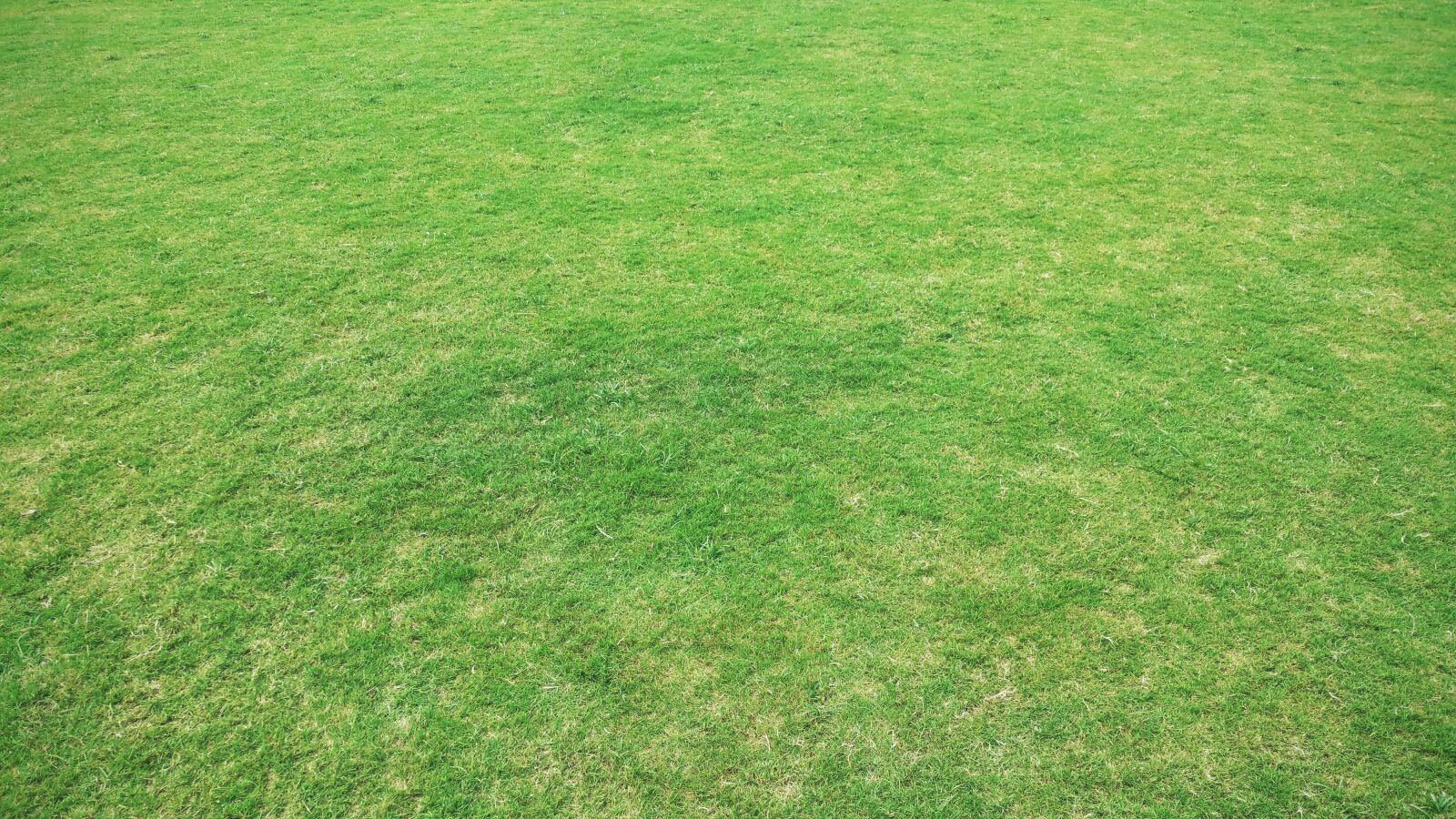 Samsung Galaxy Note4 sample photo. Background, backgrounds, bright, desktop photography