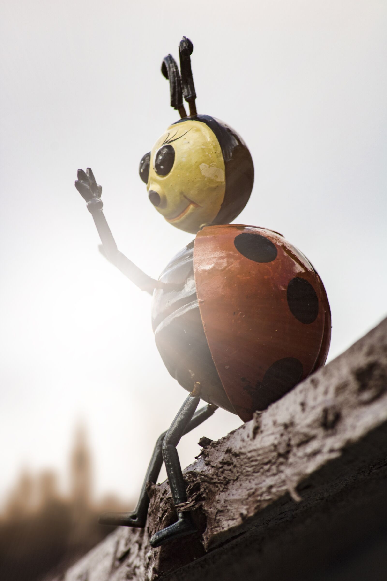 Canon EOS 750D (EOS Rebel T6i / EOS Kiss X8i) sample photo. Beetle, figure, garden photography