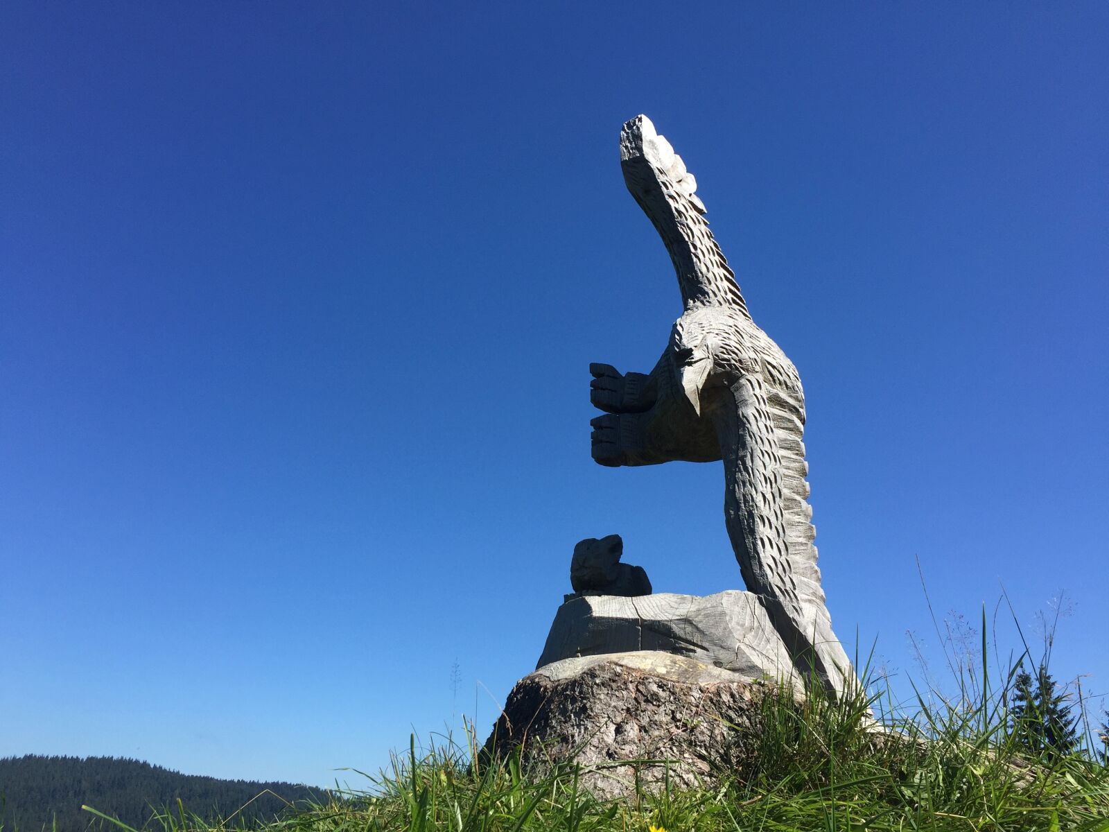 Apple iPhone 6 sample photo. Eagle, switzerland photography
