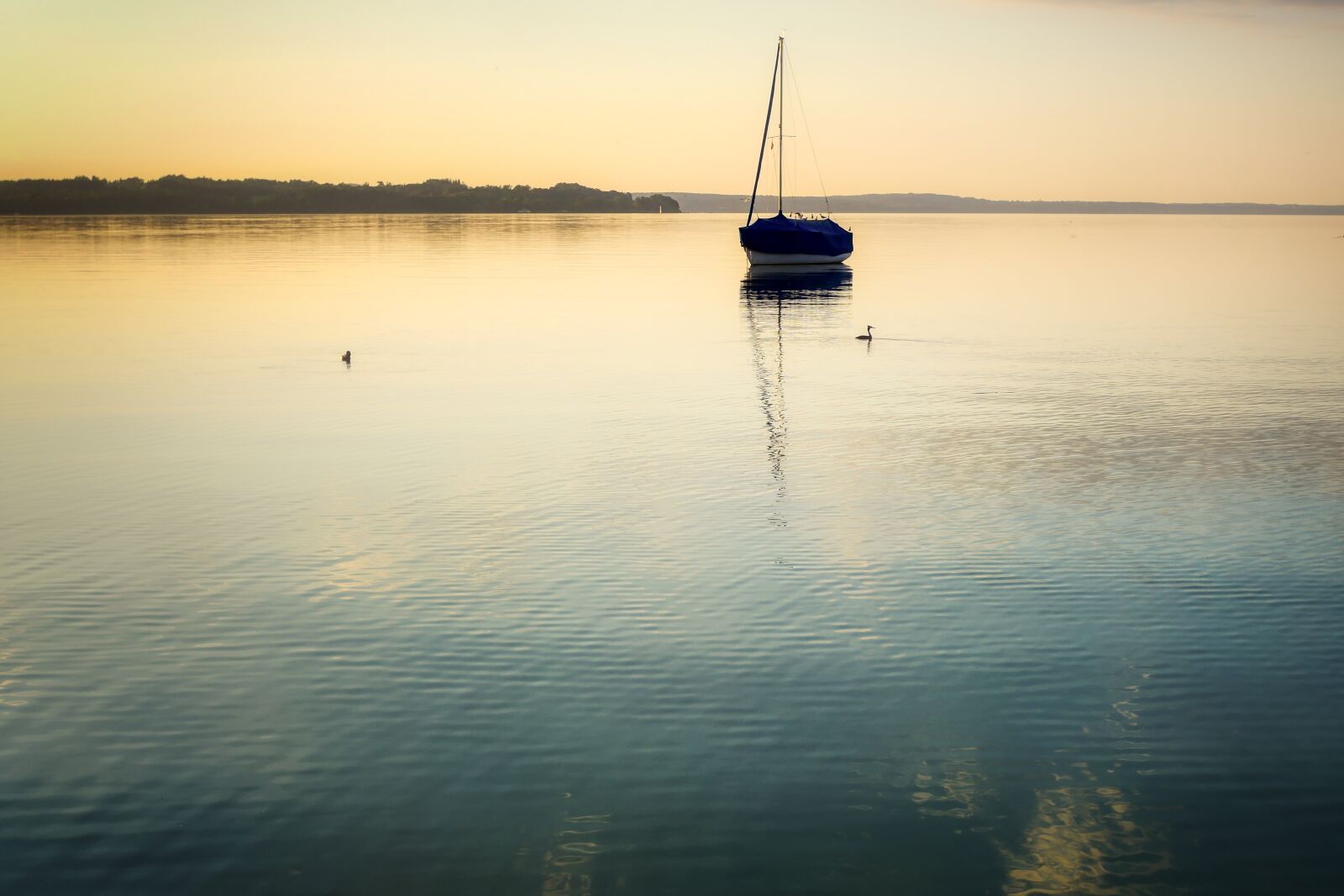 Panasonic Lumix DMC-GX8 sample photo. Lake, water, nature photography