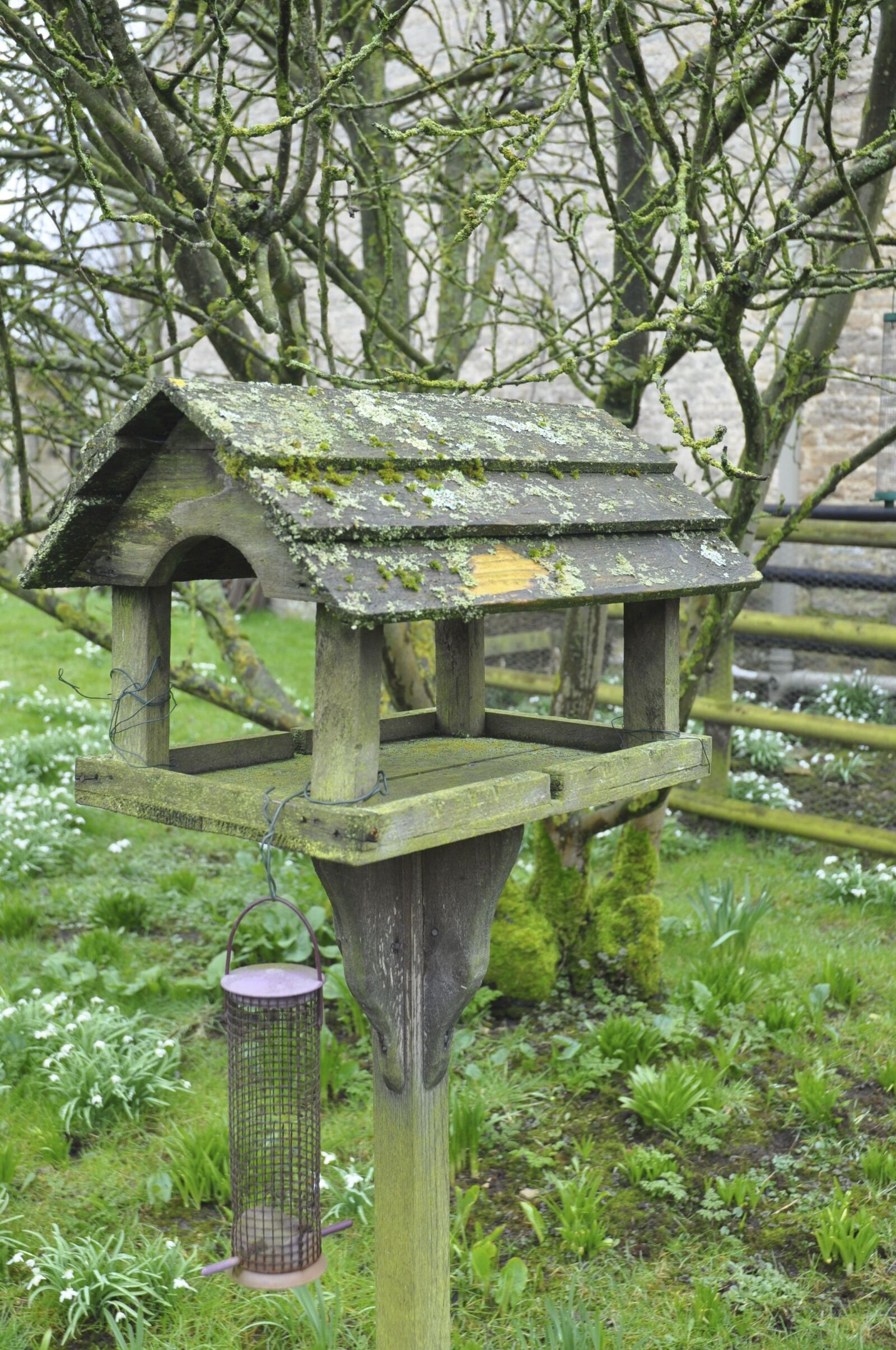 Nikon D90 sample photo. Bird, table, lichen photography