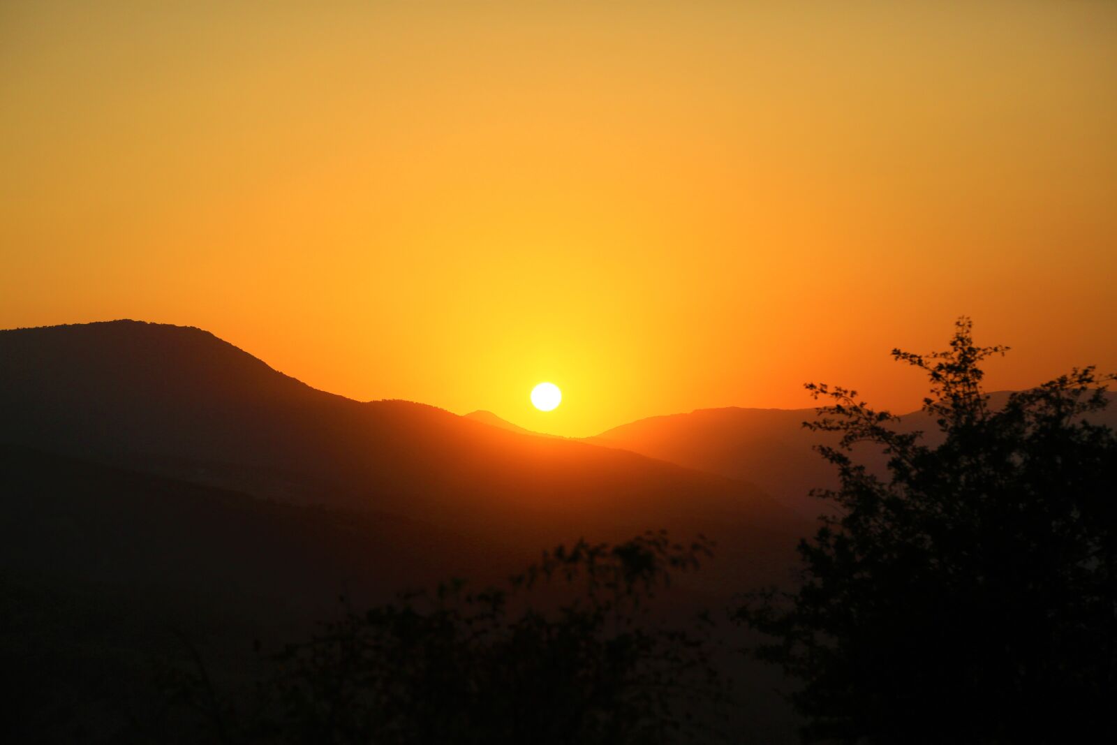 Canon EF 24-105mm F4L IS USM sample photo. Sunset, nature, forest photography