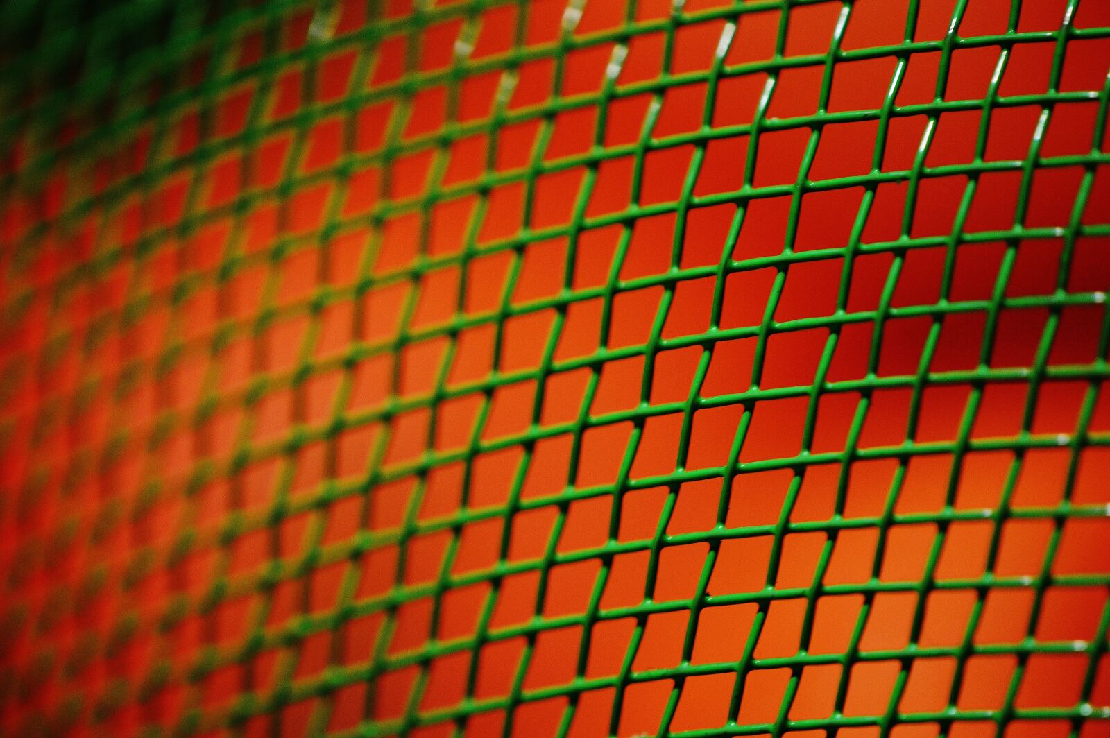Nikon D3200 sample photo. Grid, fly screens, hood photography