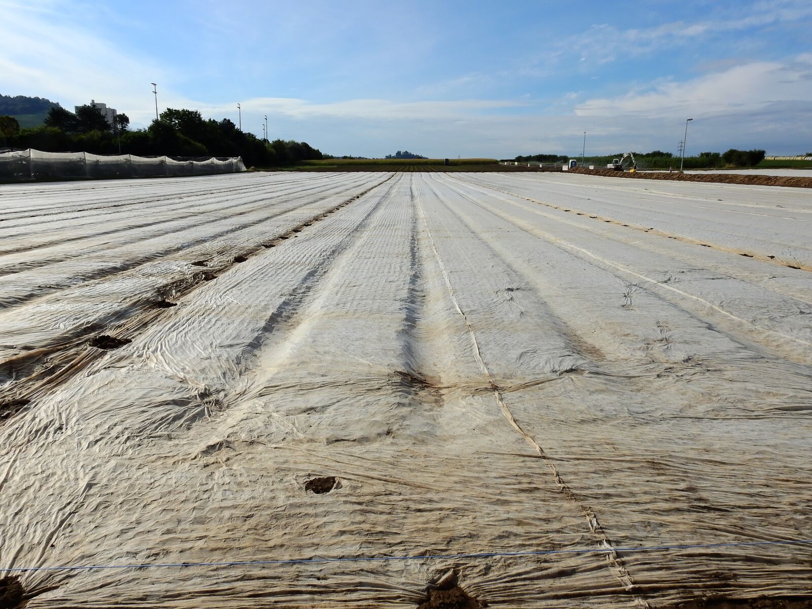 Nikon Coolpix P900 sample photo. Field, arable, agriculture photography