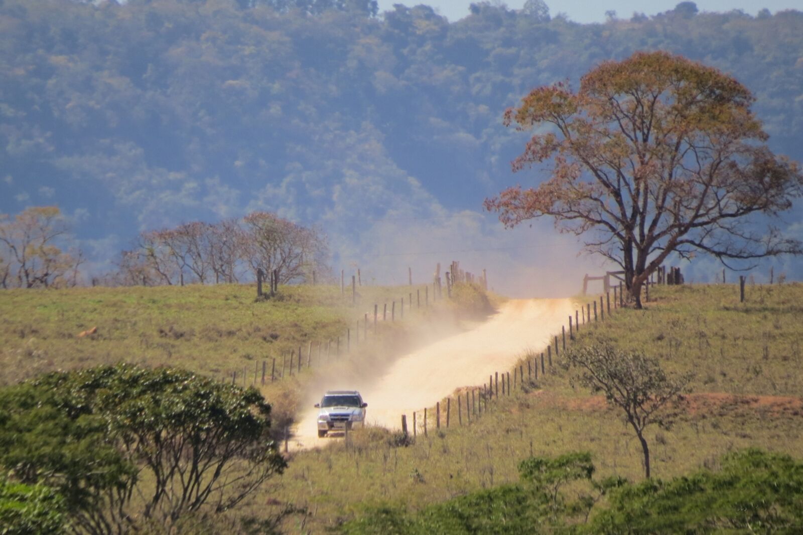 Canon PowerShot SX50 HS sample photo. Landscape, cerrado, travel photography