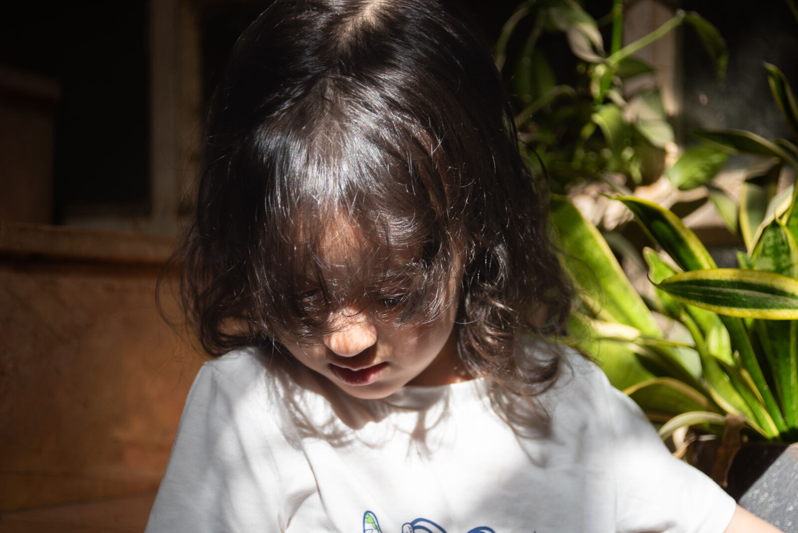 Nikon D810 sample photo
