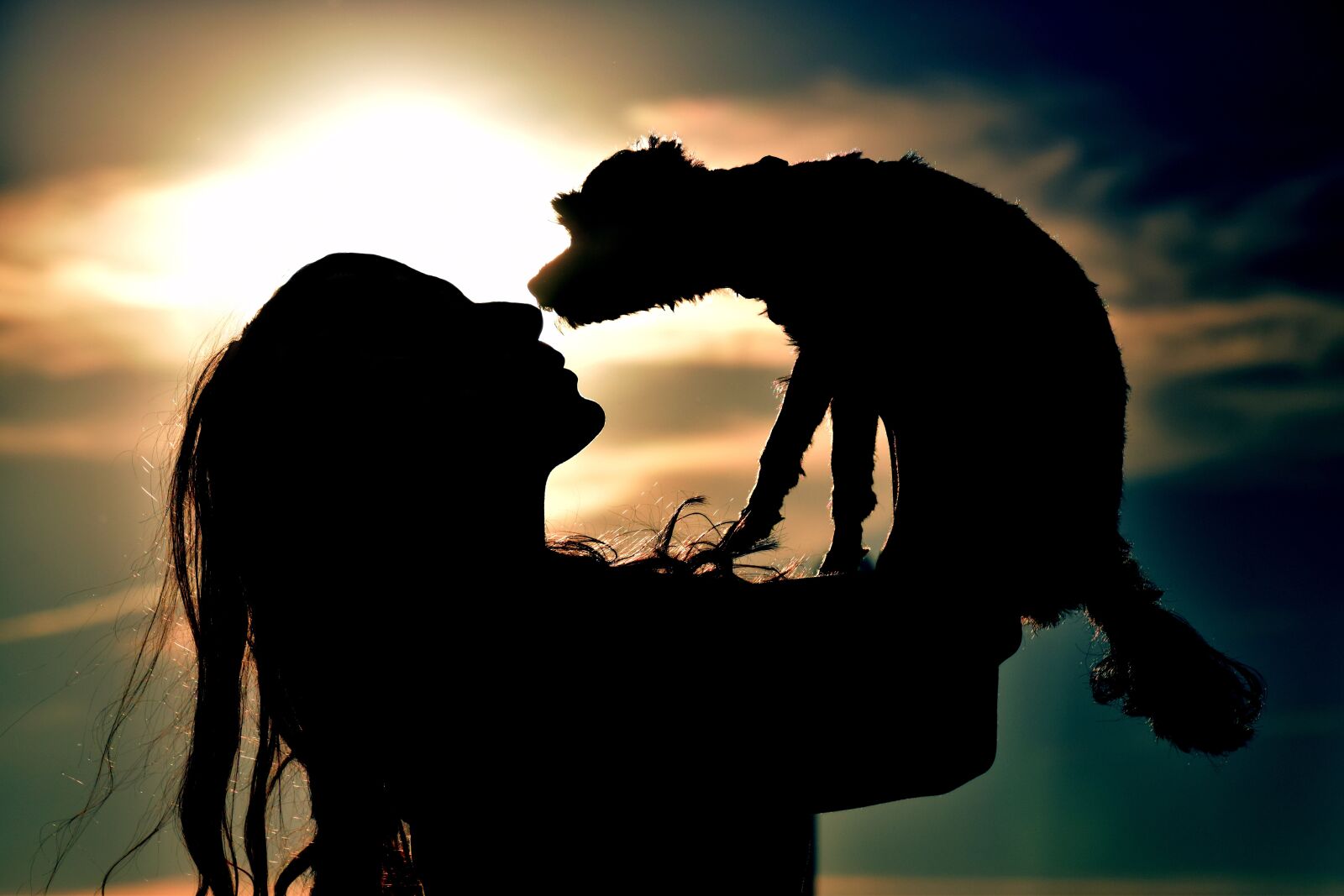 Nikon D3300 sample photo. Sunset, with backlight, silhouette photography