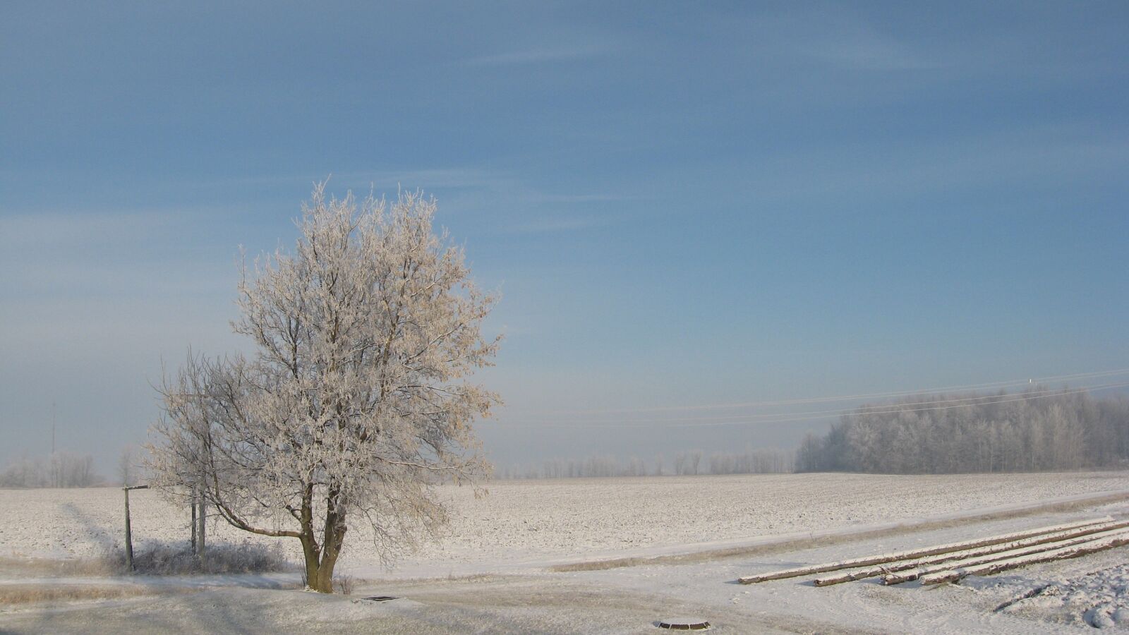 Canon POWERSHOT A550 sample photo. Winter, snow, québec photography