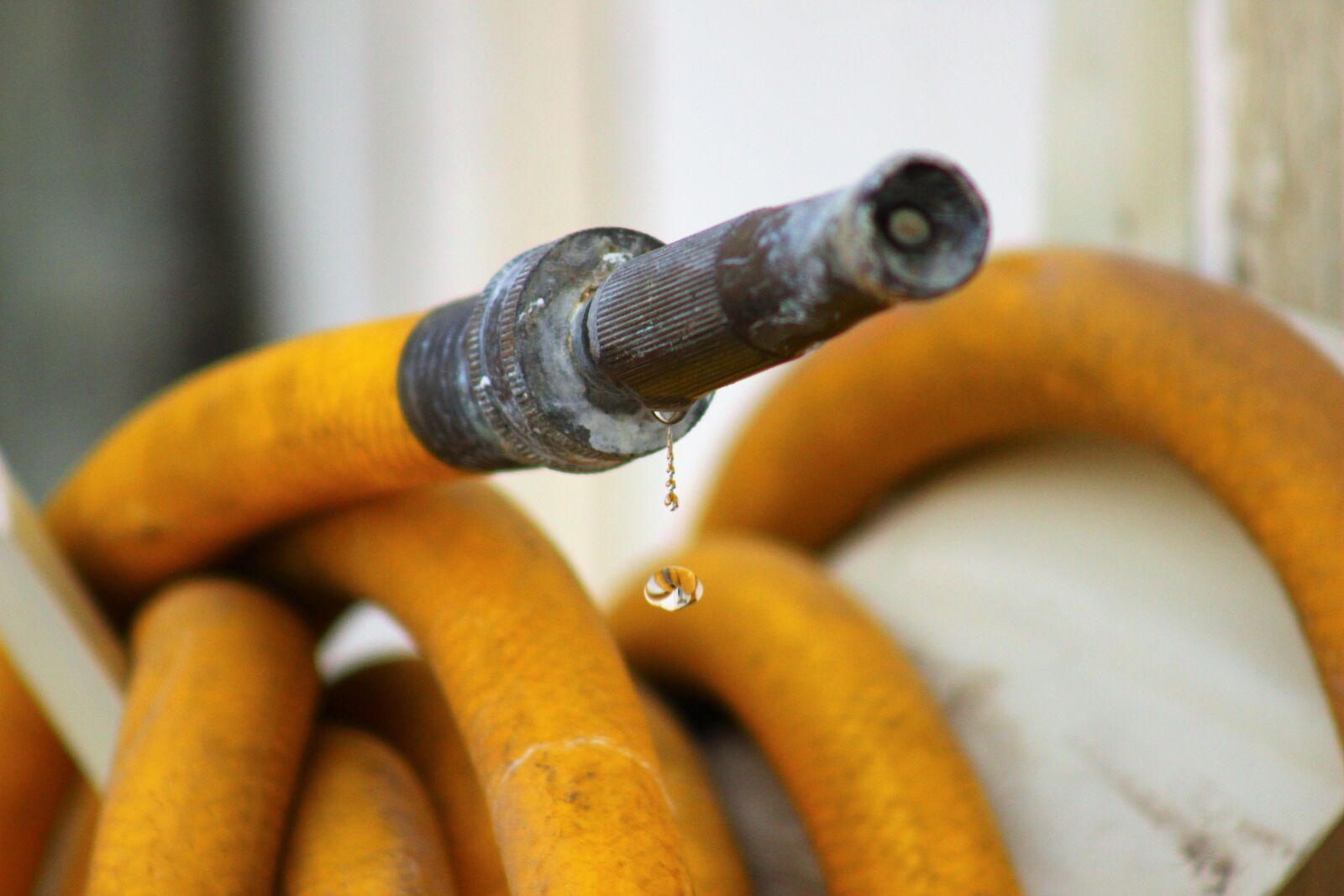 Canon EF 75-300mm f/4-5.6 sample photo. Hose, yellow, dripping photography