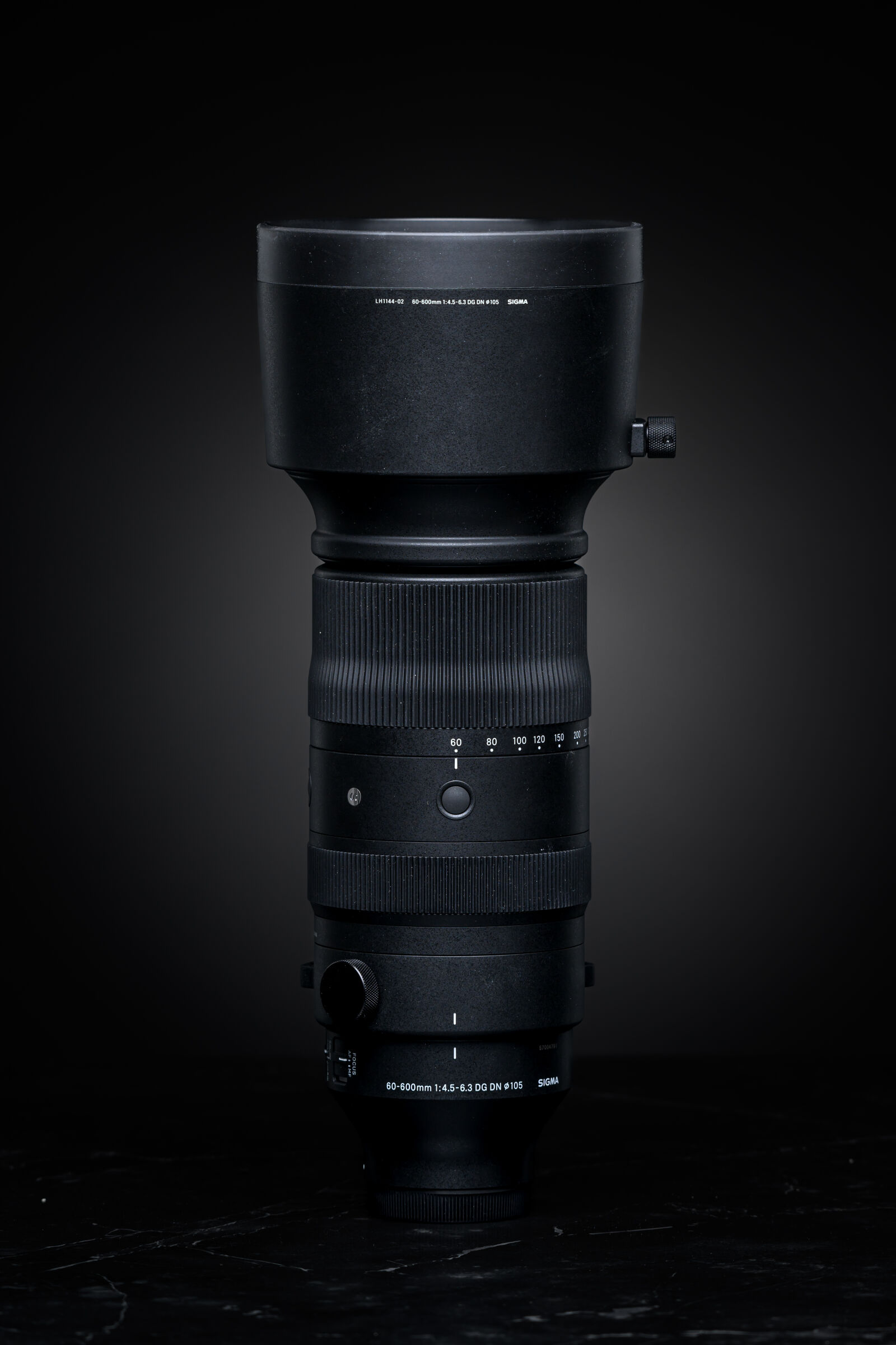 Nikon AF-S Nikkor 200-500mm F5.6E ED VR sample photo. Sigma 60-600mm f4.5-6.3 dg photography