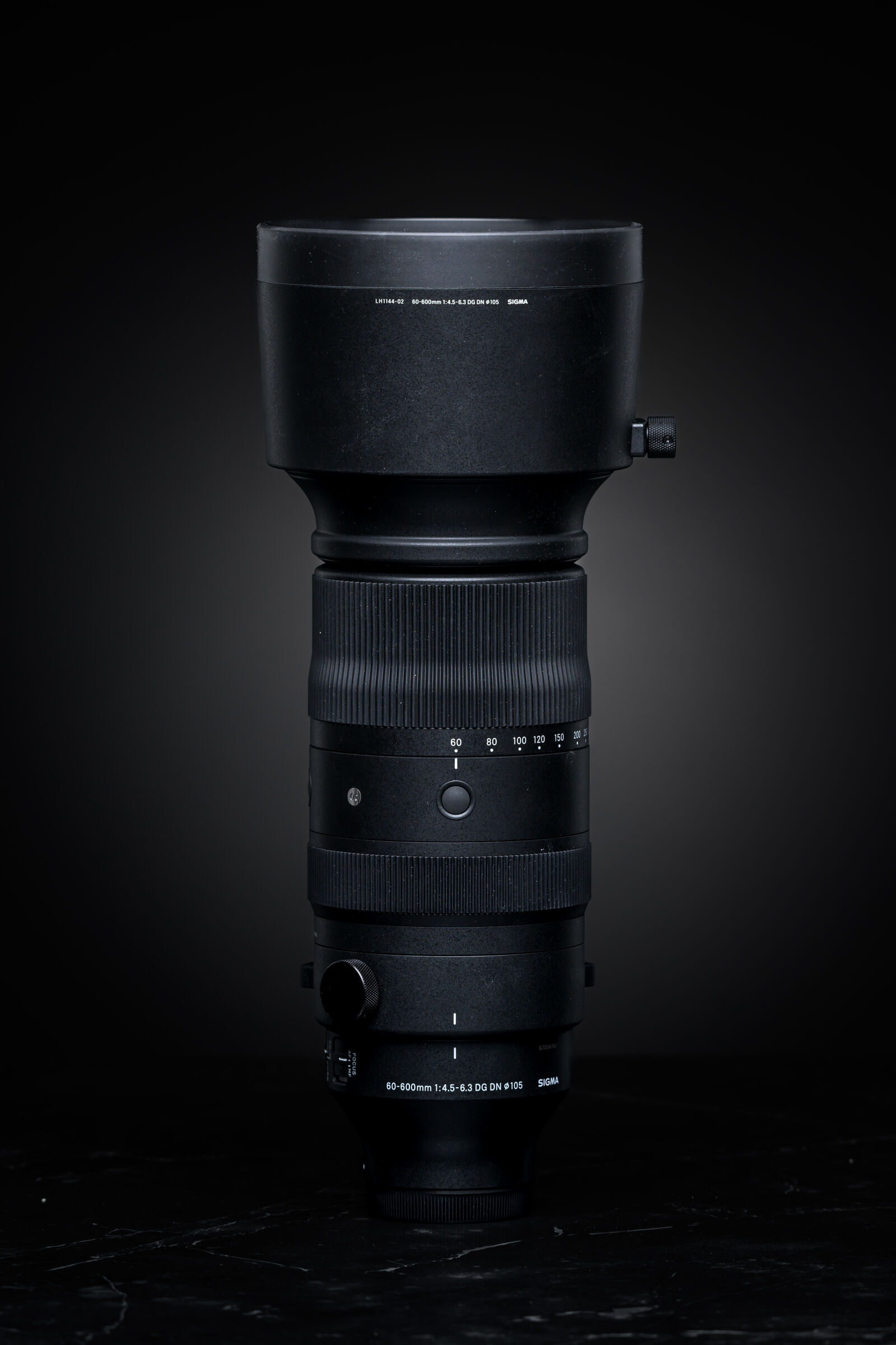Nikon Z9 sample photo. Sigma 60-600mm f4.5-6.3 dg photography