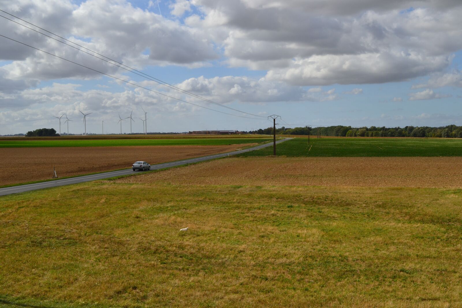 Nikon D3100 sample photo. Countryside, field, blue sky photography