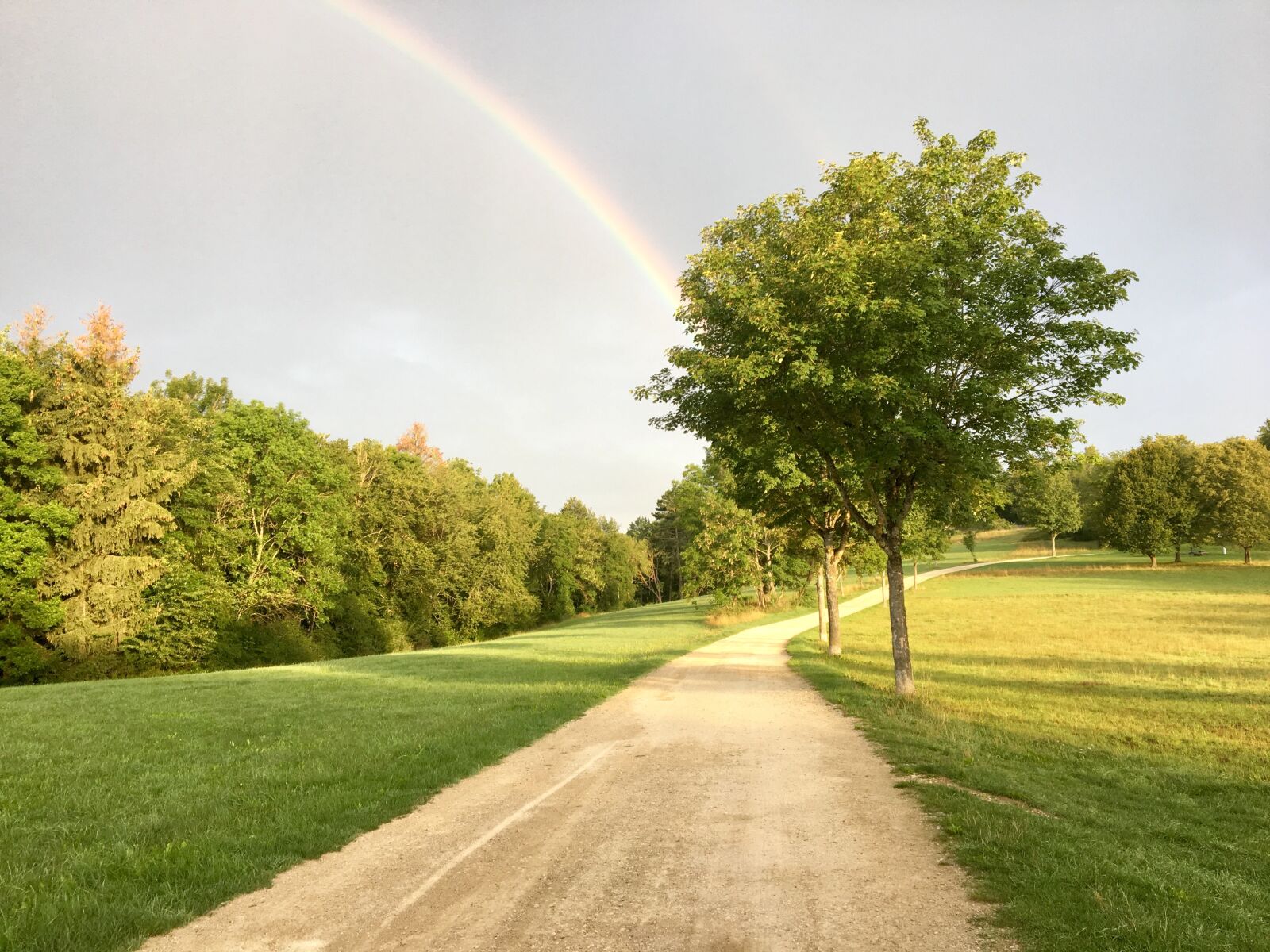 Apple iPhone 6s sample photo. Away, rainbow, tree photography