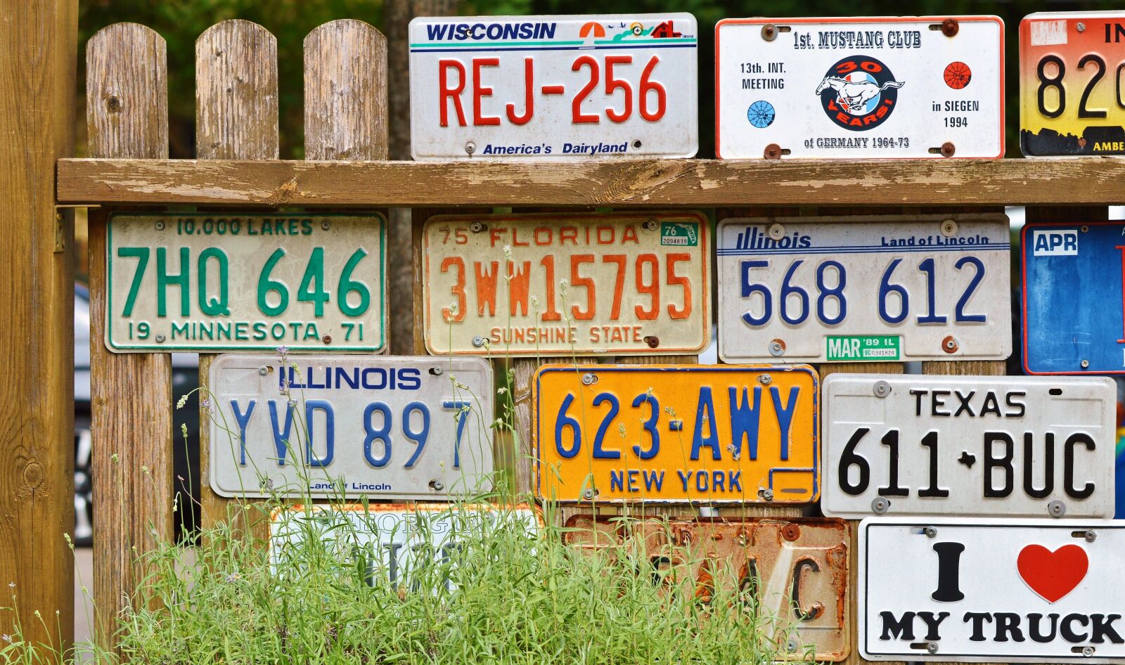 Nikon D3200 sample photo. License plate, car shield photography