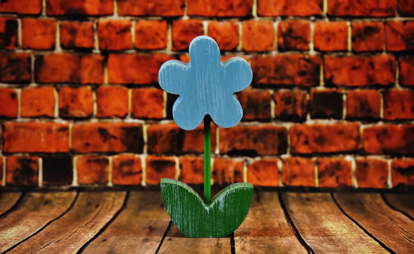 Nikon D7200 sample photo. Flower, deco, wood photography