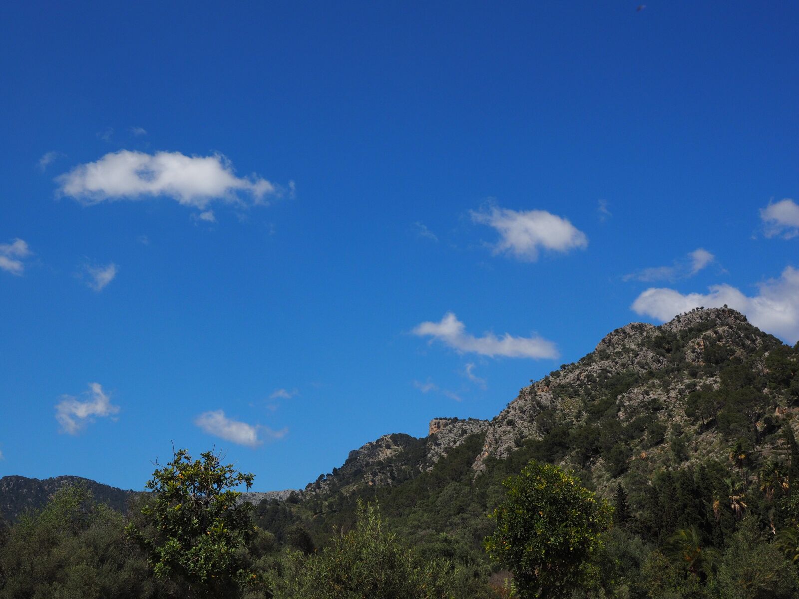 Olympus OM-D E-M1 + Olympus M.Zuiko Digital ED 12-40mm F2.8 Pro sample photo. Mountains, estate raixa, mallorca photography