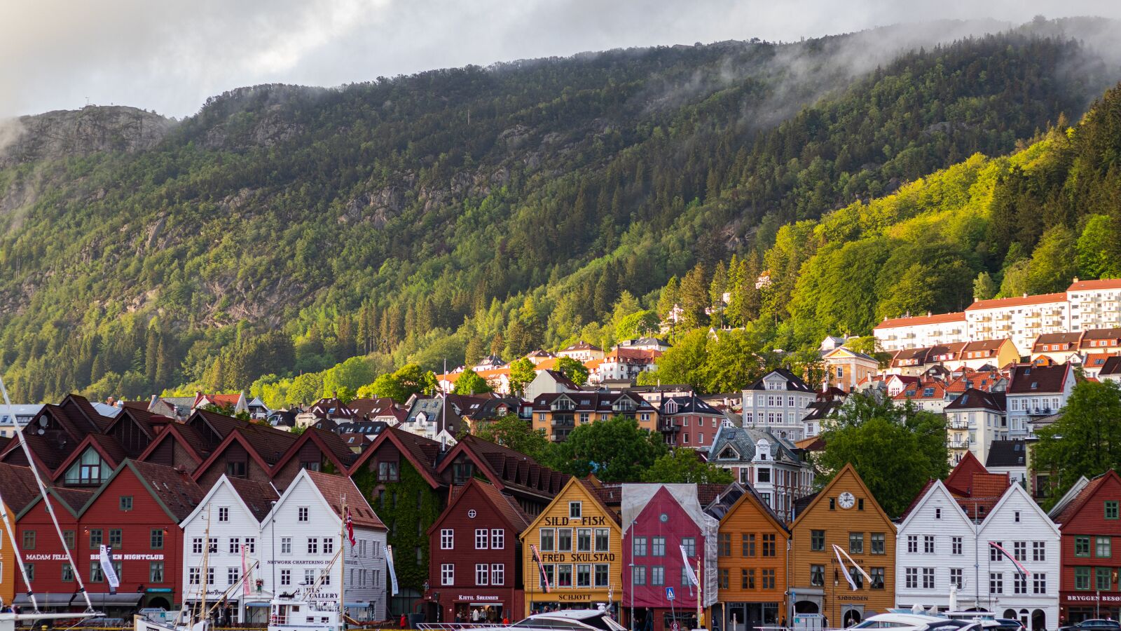 Canon EOS 80D + Canon EF 50mm F1.8 STM sample photo. Norway, mountains, houses photography
