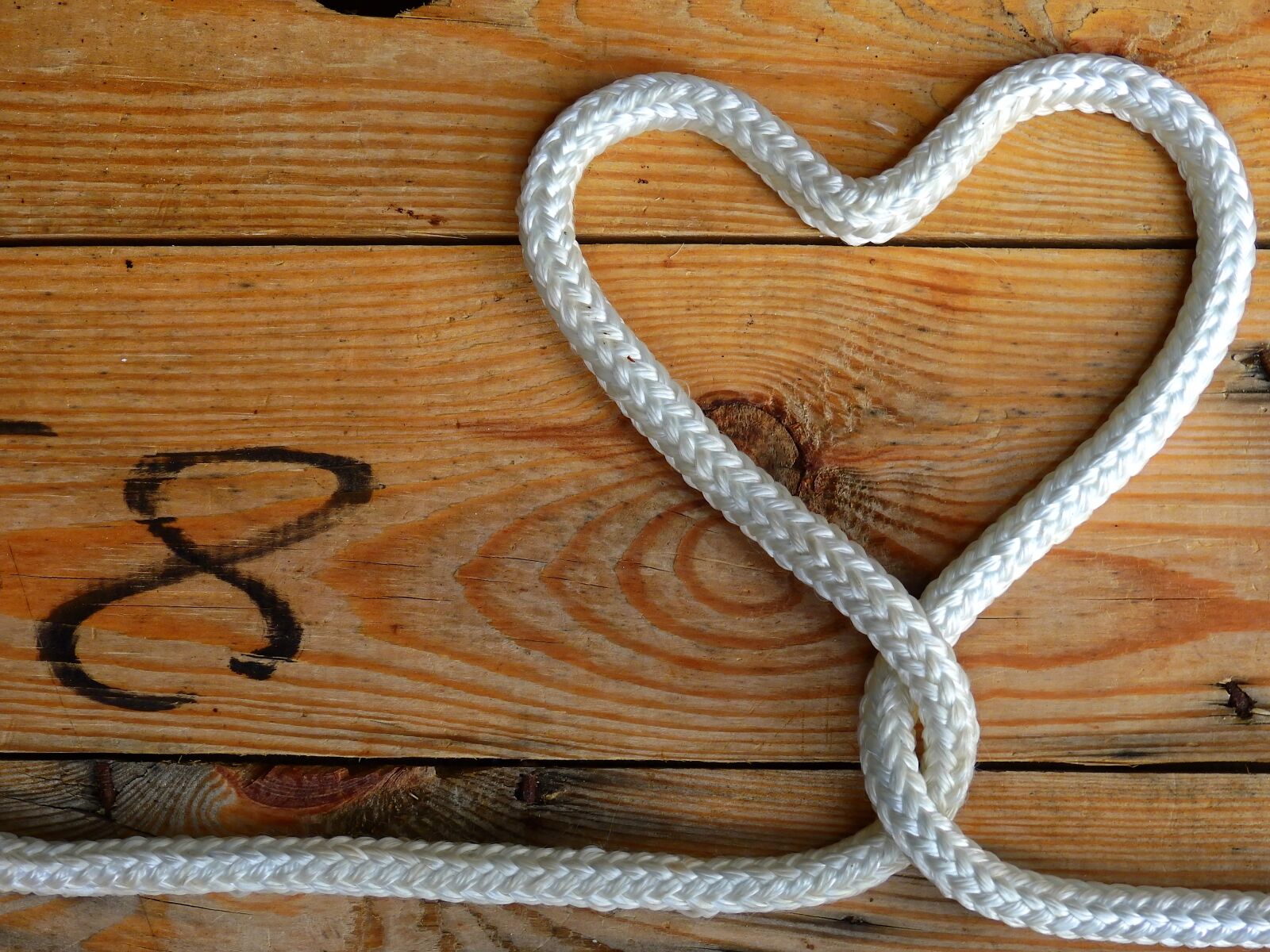 Nikon Coolpix P900 sample photo. Loop, rope, wood photography