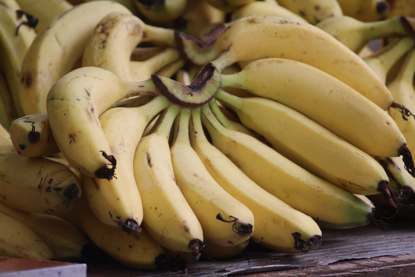 Canon EOS 1200D (EOS Rebel T5 / EOS Kiss X70 / EOS Hi) sample photo. Banana, musa, fruit photography