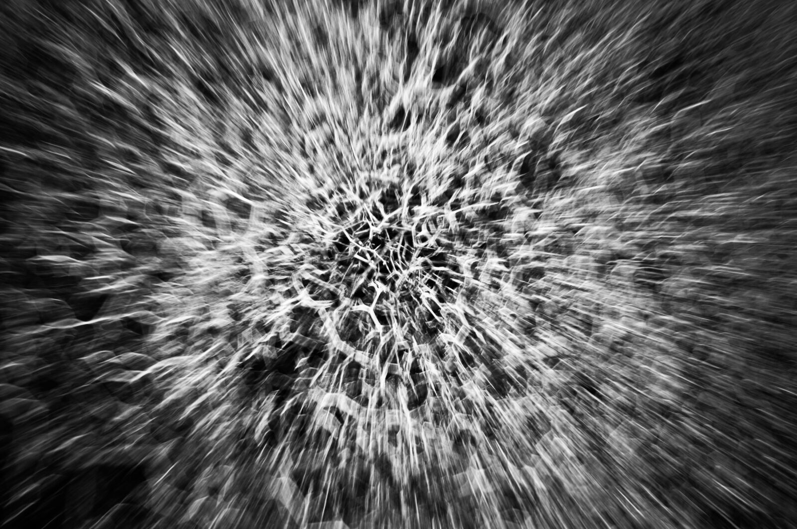 Nikon D5000 sample photo. Traffic, speed, abstraction photography