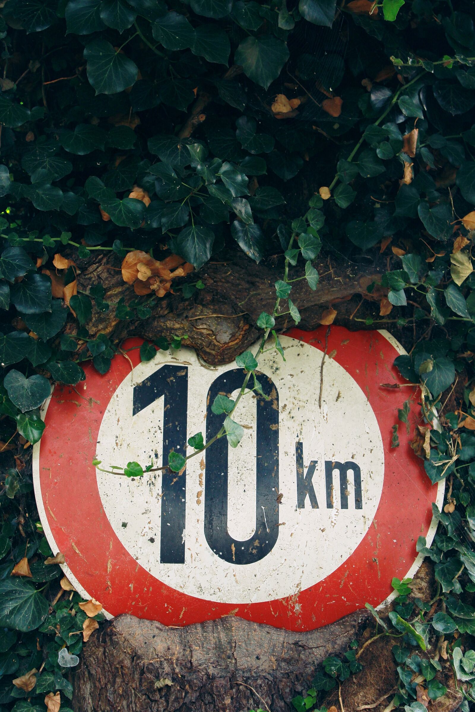 Canon EOS 1200D (EOS Rebel T5 / EOS Kiss X70 / EOS Hi) sample photo. Traffic sign, speed limit photography