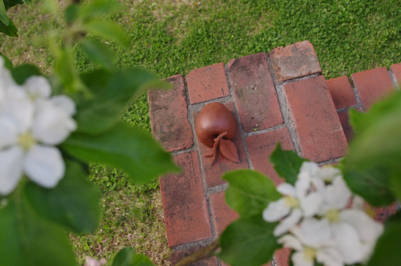 Pentax K-r sample photo. Apple, brick, flower photography