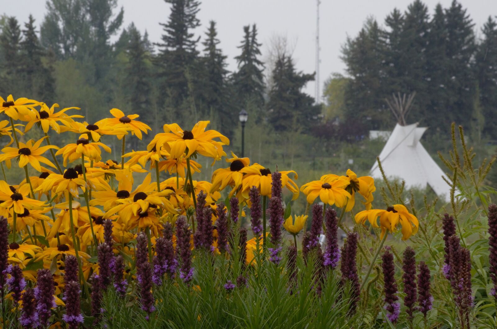 Nikon D5100 sample photo. Fall, tee pee, white photography