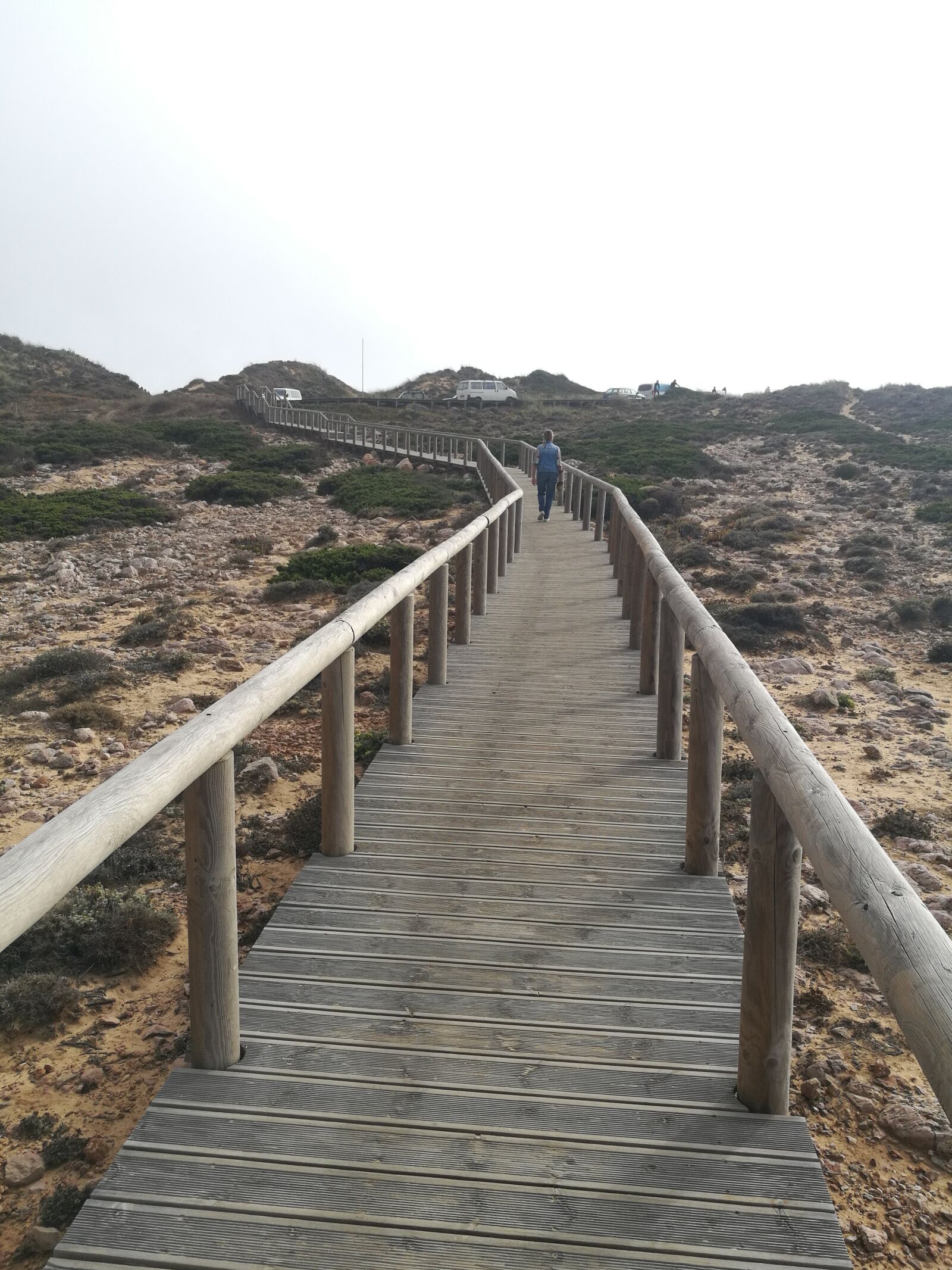 HUAWEI Honor 8 sample photo. Beach, nature, wood photography