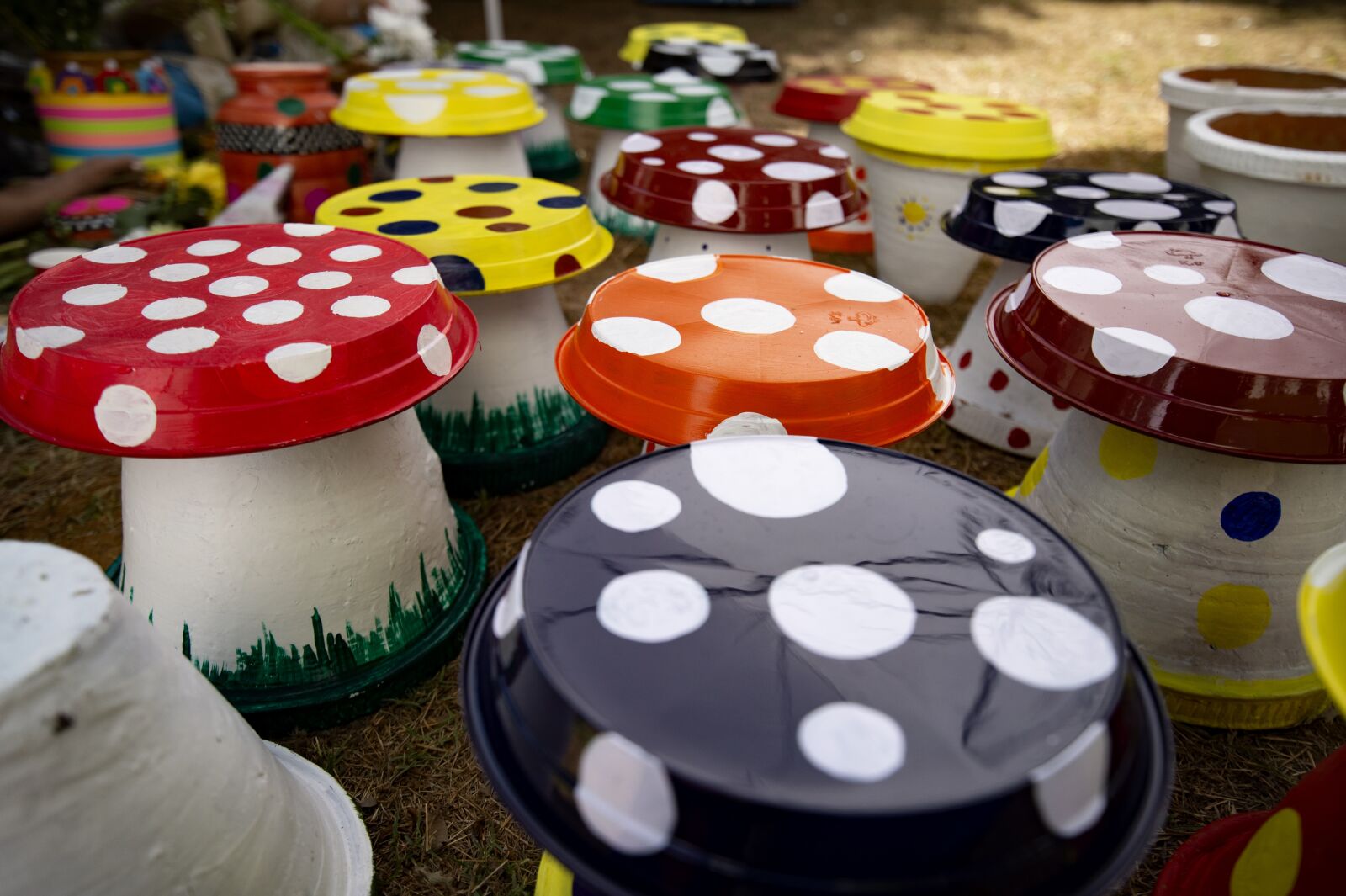 Tamron SP 15-30mm F2.8 Di VC USD sample photo. Colours, mushroom, art and photography