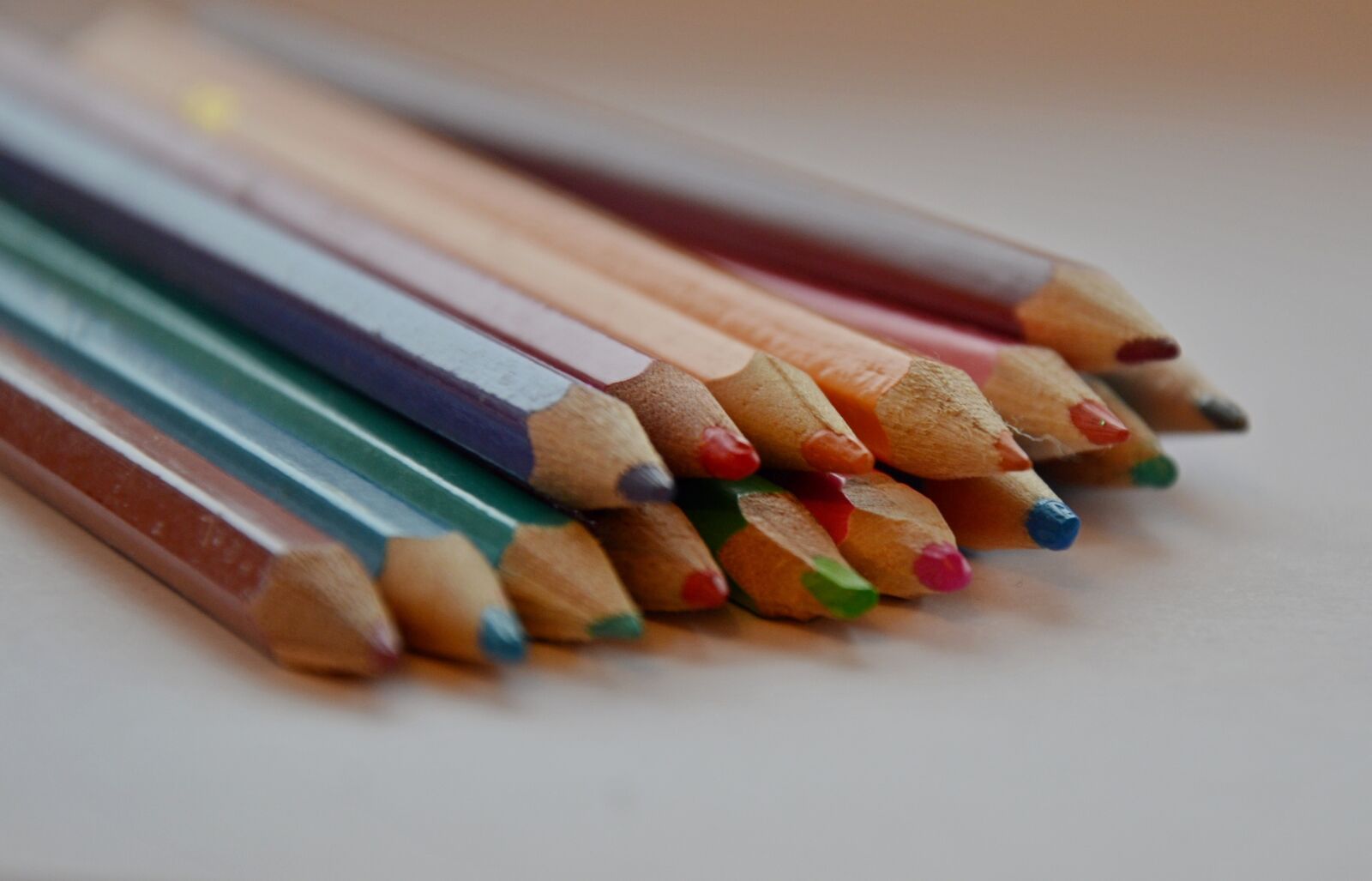 Nikon D7000 sample photo. Pencils, colored pencils, tree photography