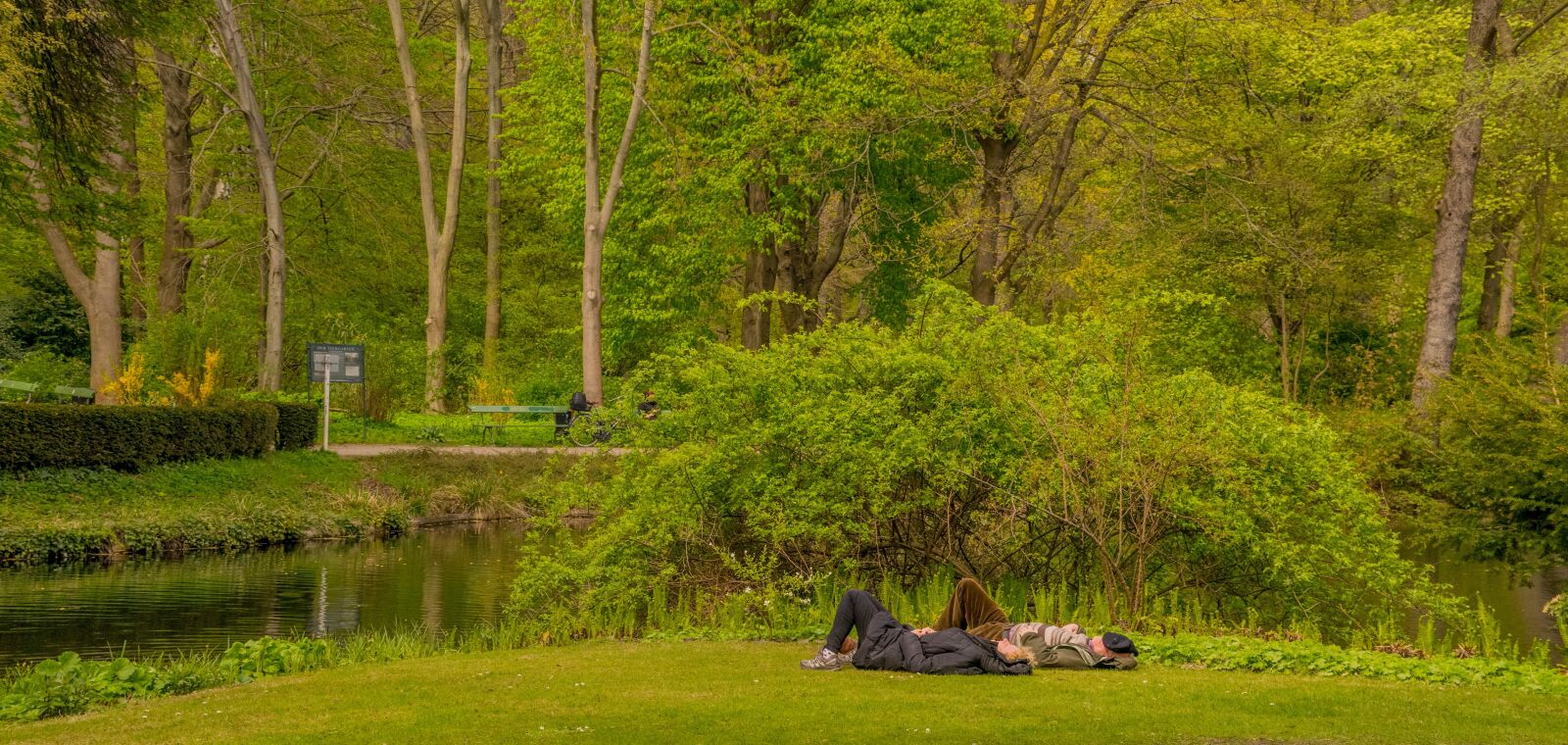 Nikon D3300 sample photo. Berlin, park, nature photography