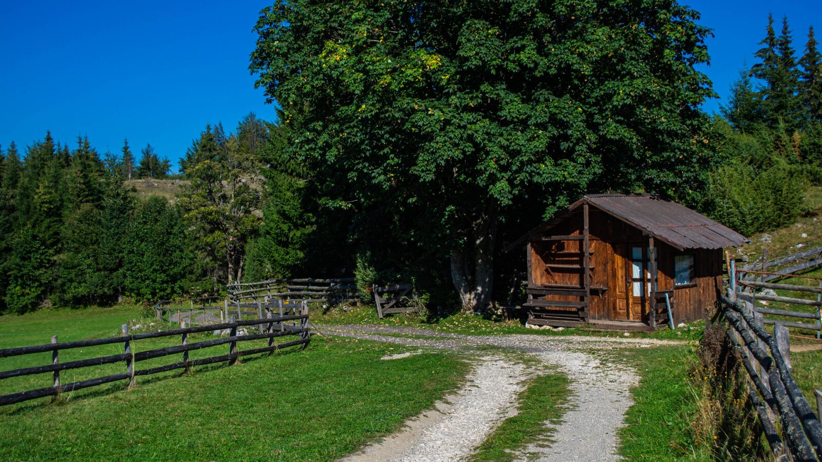 Nikon D3100 sample photo. Forest, house, cottage photography