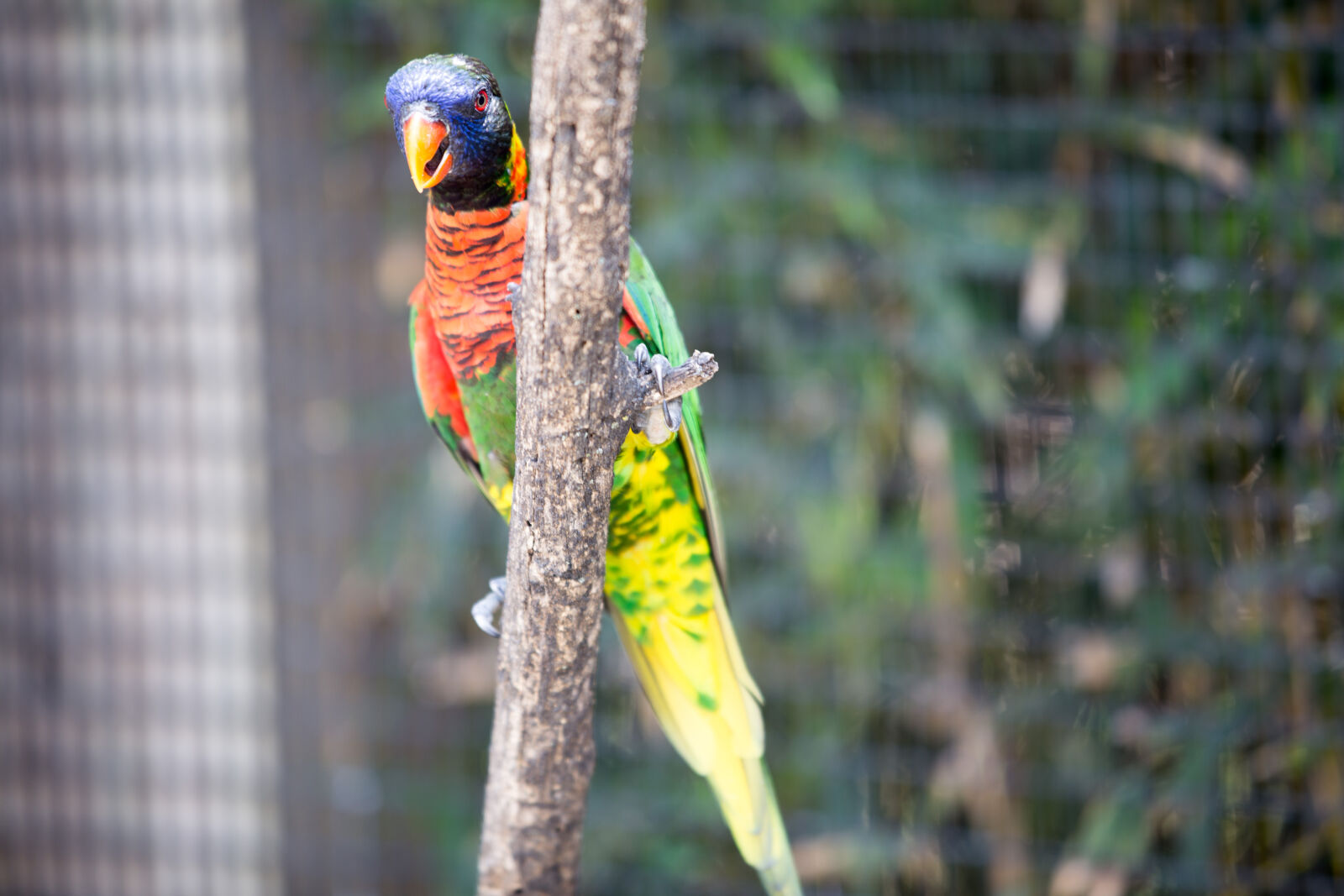 Canon EOS 6D sample photo