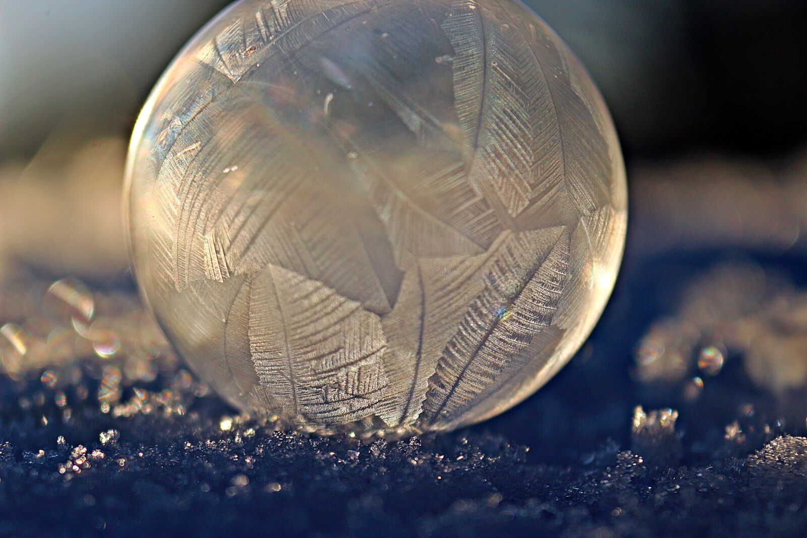 Canon EOS 100D (EOS Rebel SL1 / EOS Kiss X7) sample photo. Eiskristalle, frozen, ball photography