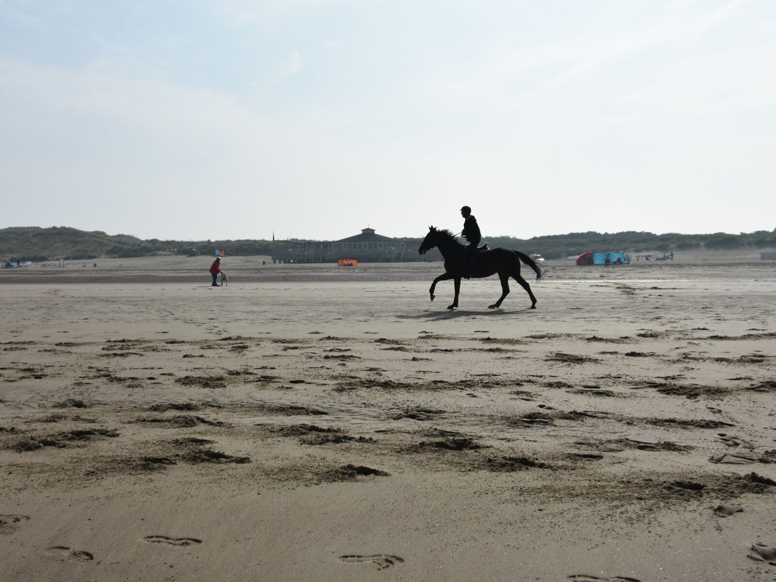 Nikon D3400 sample photo. Reiter, sand beach, gallop photography