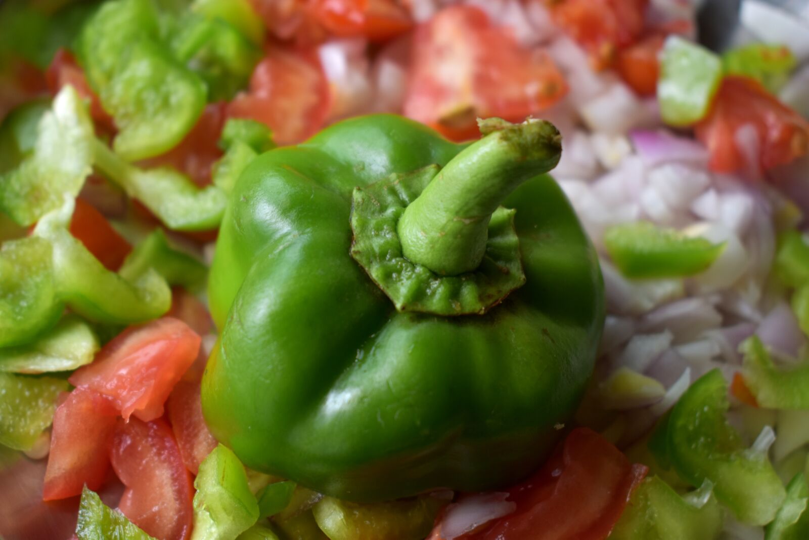 Nikon D5600 sample photo. Capsicum, tomato, onion photography