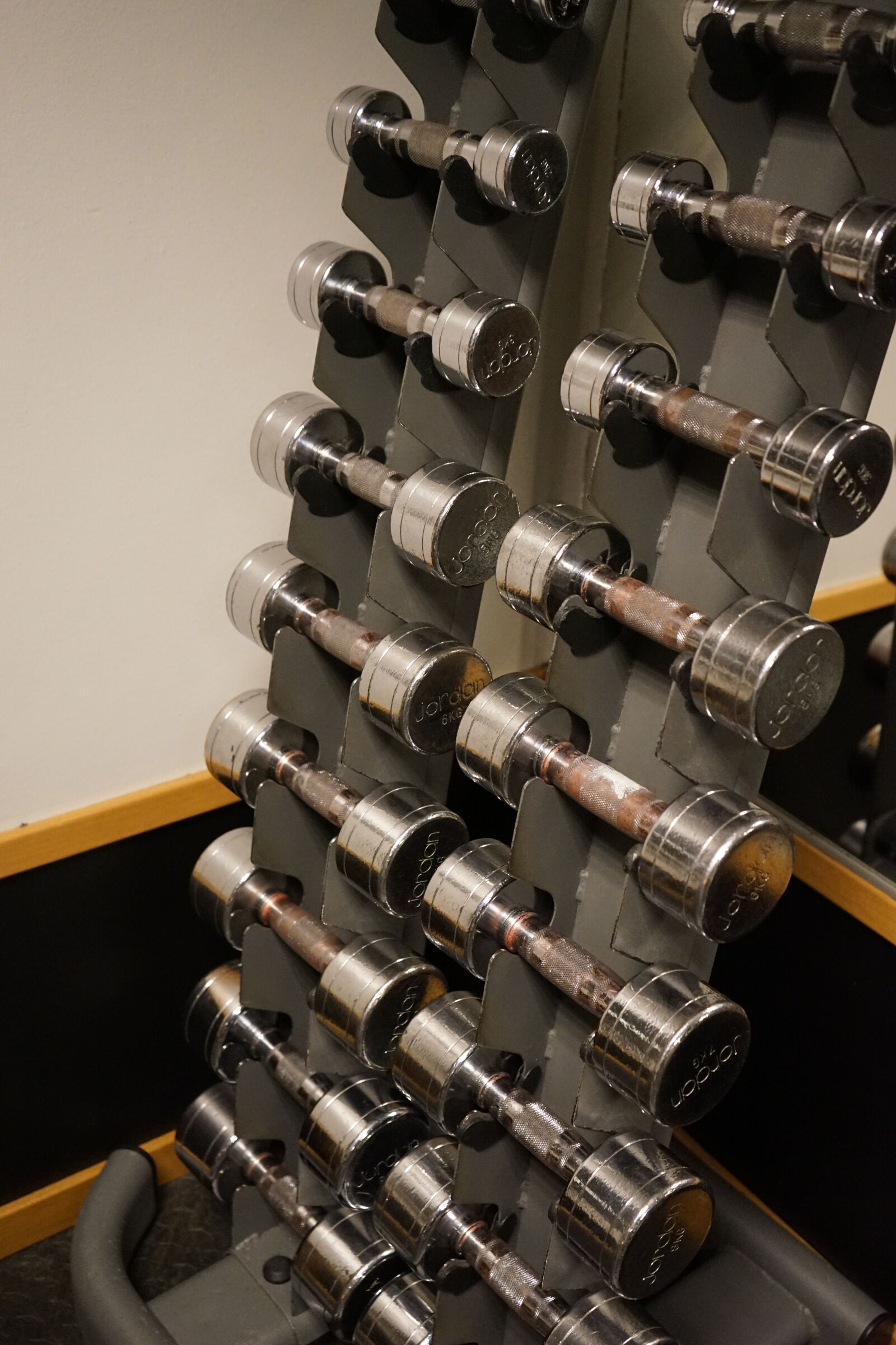 Sony a7 II + Sony FE 28-70mm F3.5-5.6 OSS sample photo. Dumbbell, dumbbells, training photography