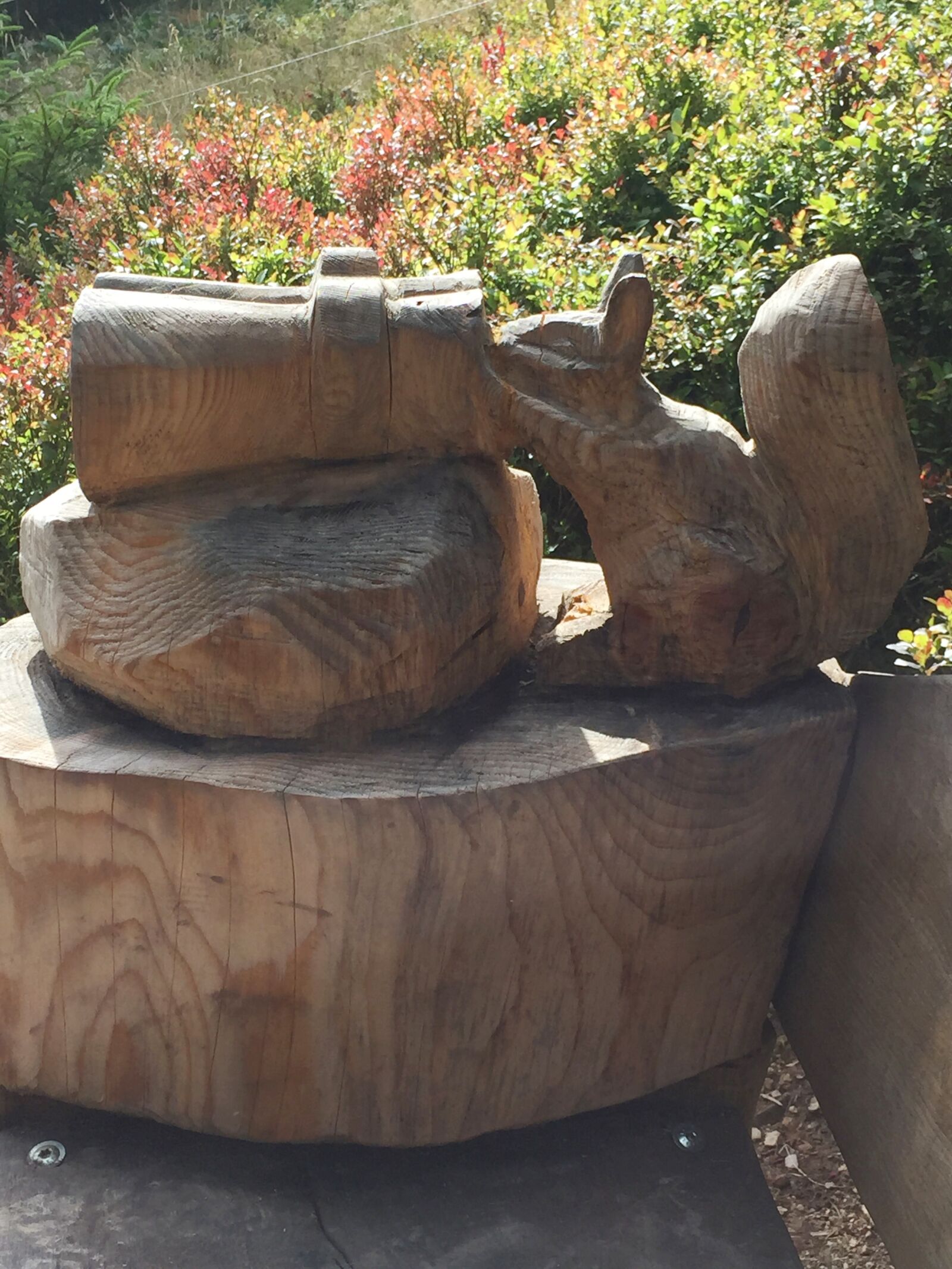 iPhone 6 back camera 4.15mm f/2.2 sample photo. Squirrel, wood carving, wood photography