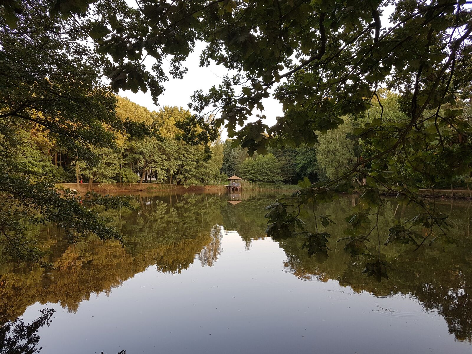 Samsung Galaxy S7 sample photo. Villa, kazimierowka, pond photography