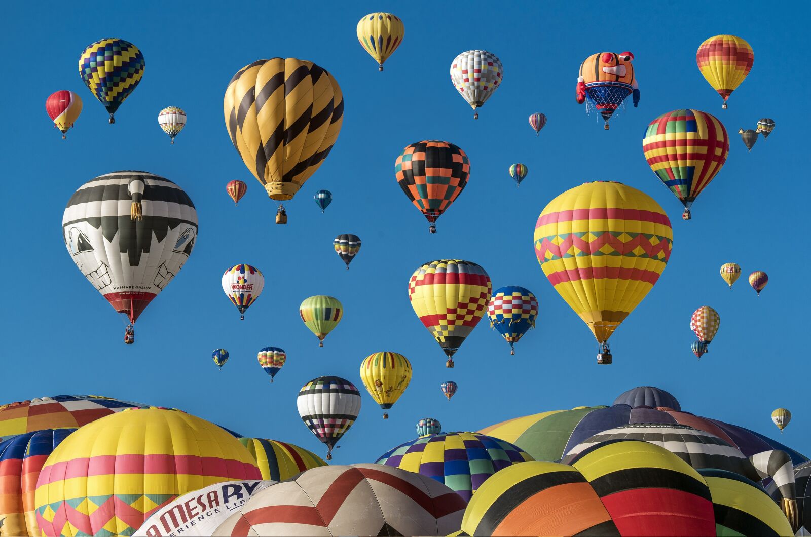 Nikon D750 sample photo. Hot air balloons, adventure photography