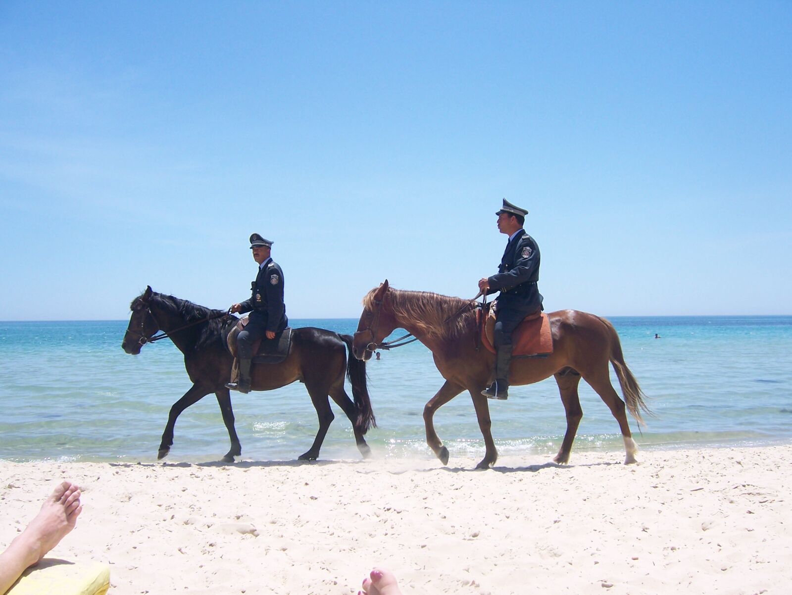 Kodak V603 ZOOM DIGITAL CAMERA sample photo. Horses, sand, mounted police photography