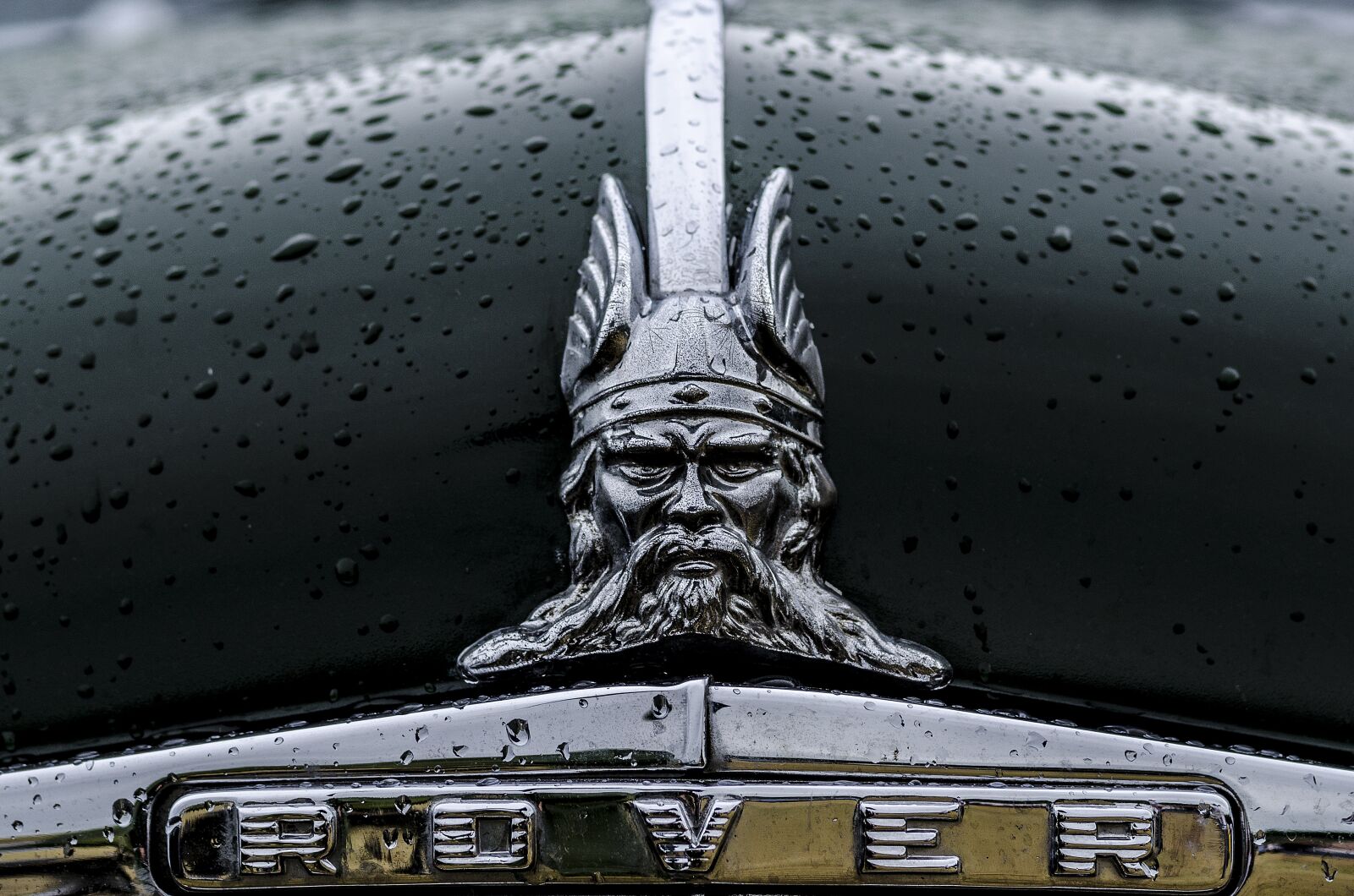 Nikon D7000 sample photo. Rover, car, badge photography